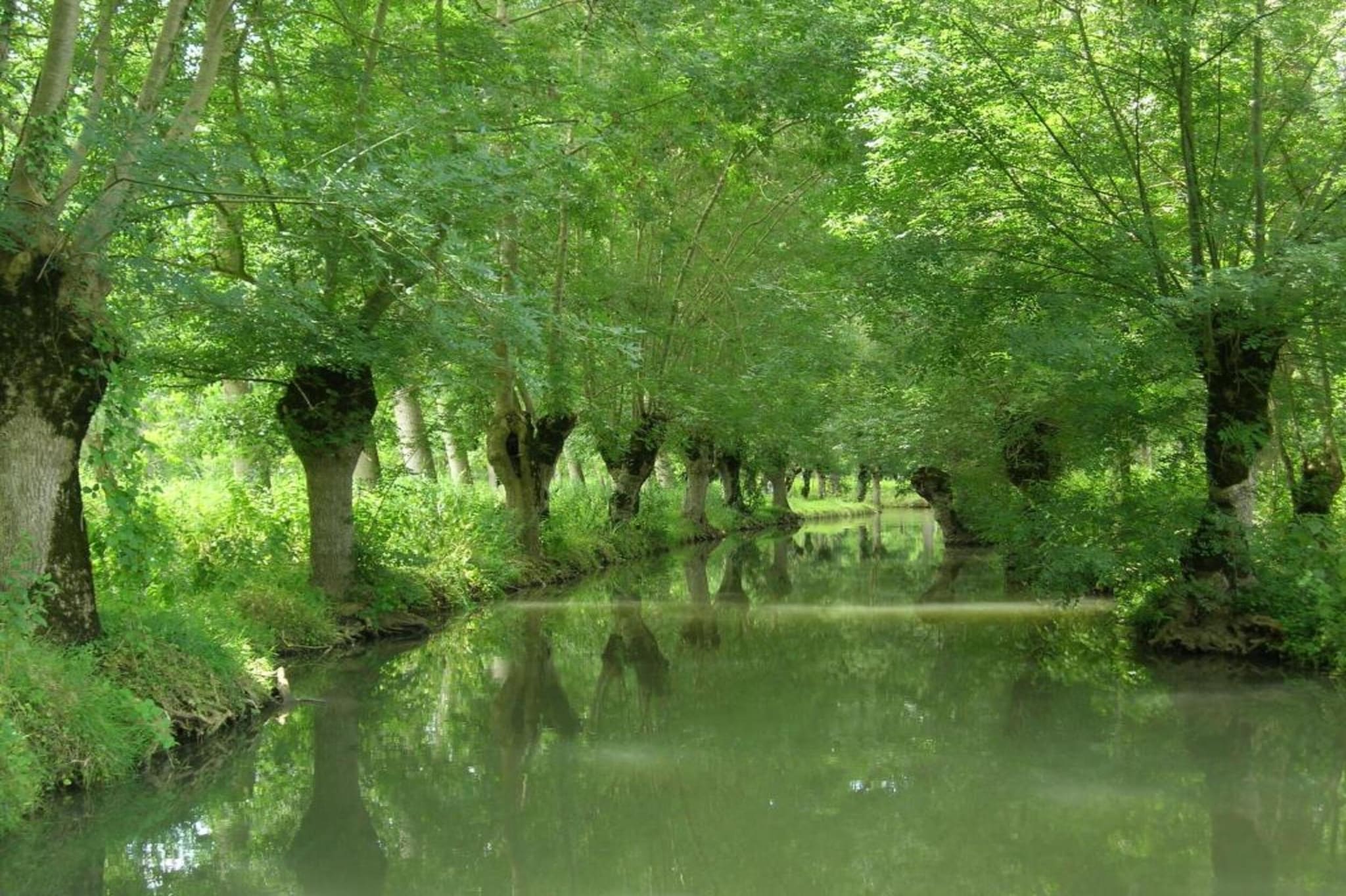 La Rivière-Gebieden zomer 20km