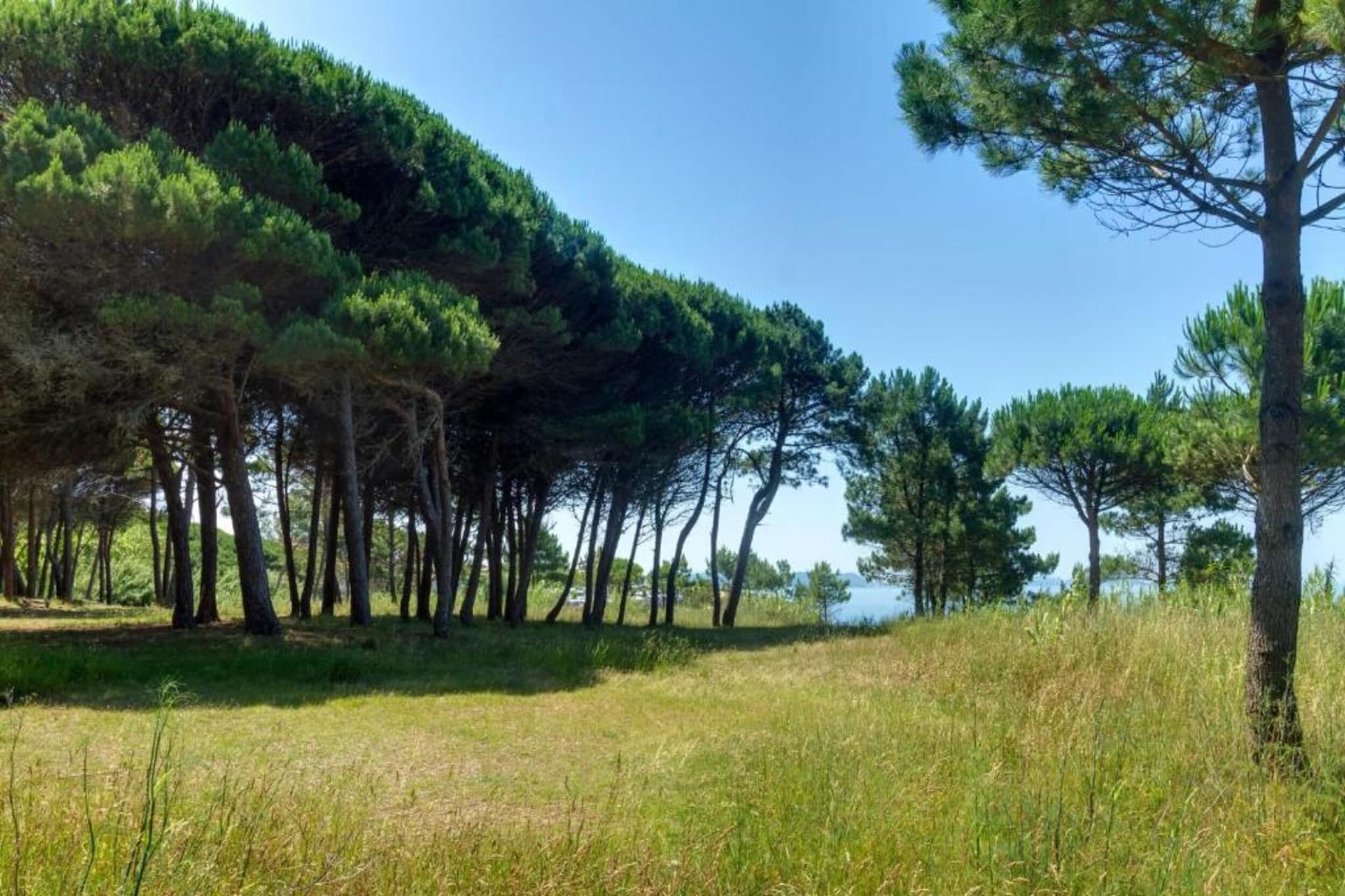 Villa Catro Faros-Gebieden zomer 20km