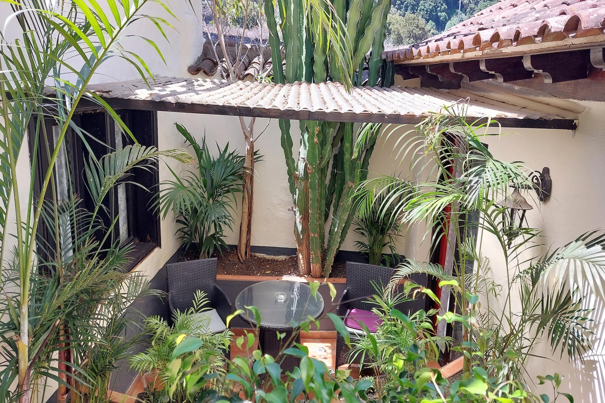 Apartamentos Monasterio de San Antonio 5 - Terrasbalkon