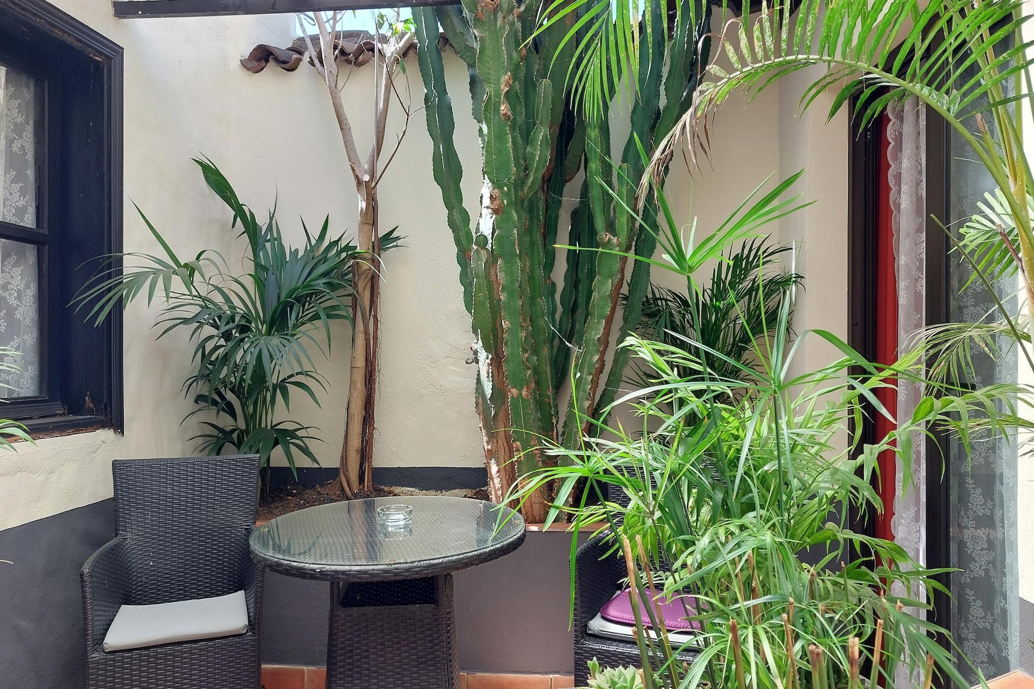 Apartamentos Monasterio de San Antonio 5 - Terrasbalkon