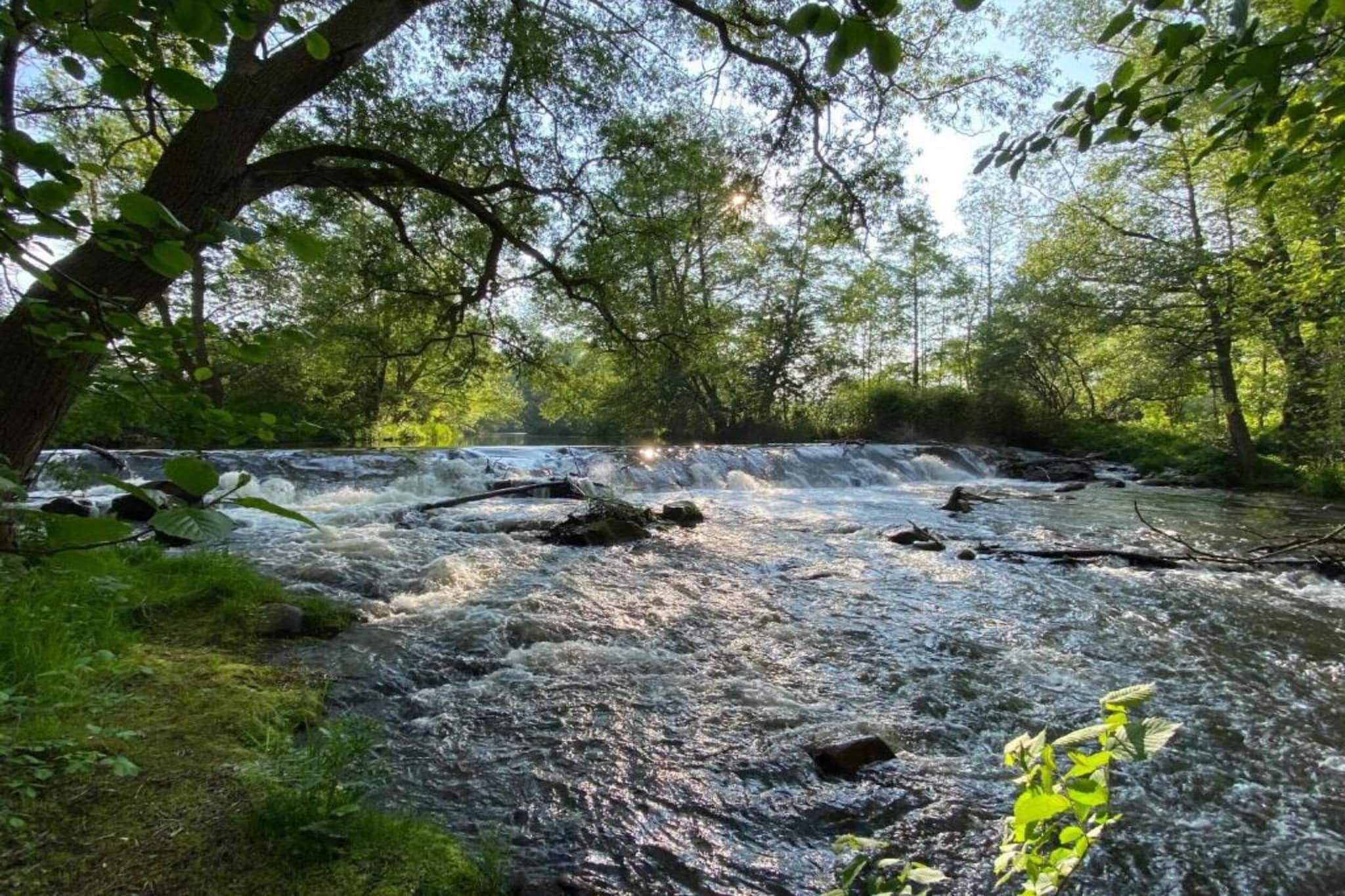 Ballenstedt-Gebieden zomer 20km