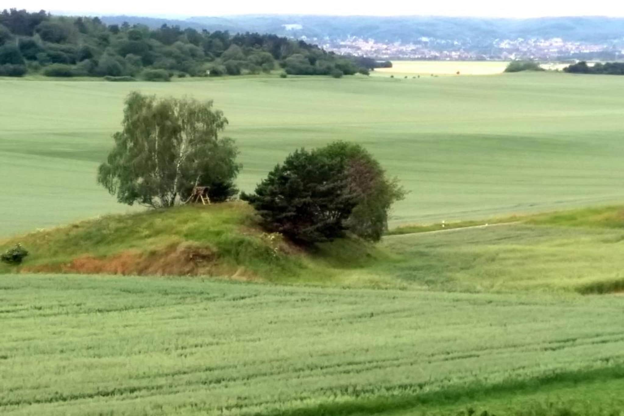 Ballenstedt-Gebieden zomer 20km