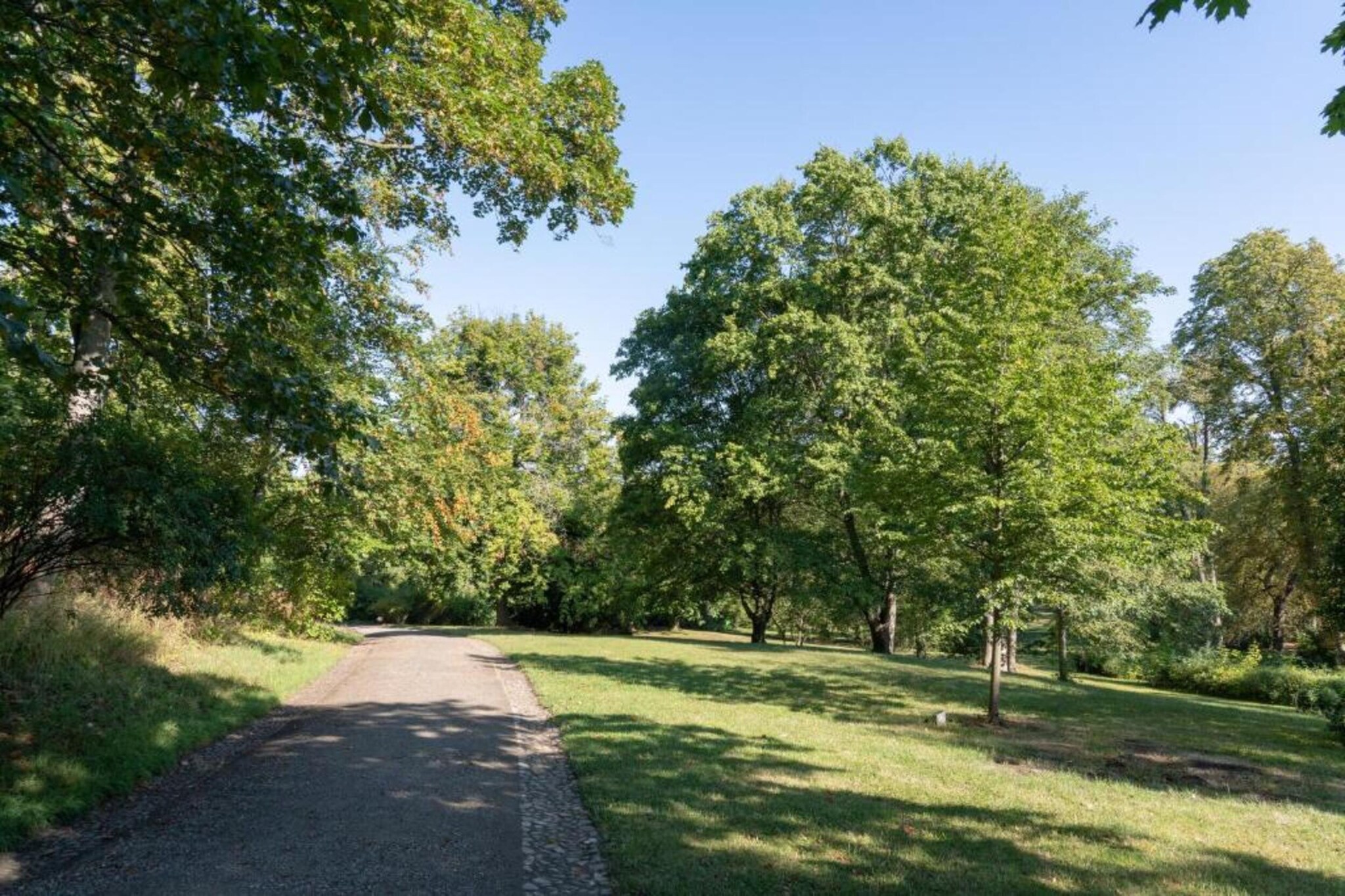 Ballenstedt-Gebieden zomer 20km