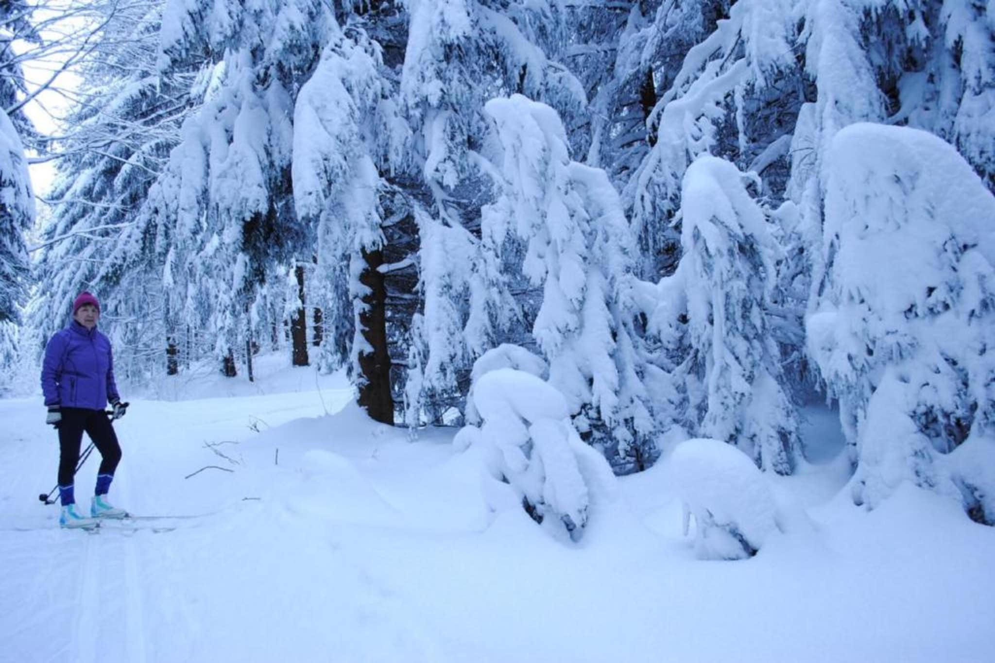 Poesie-Gebied winter 5km