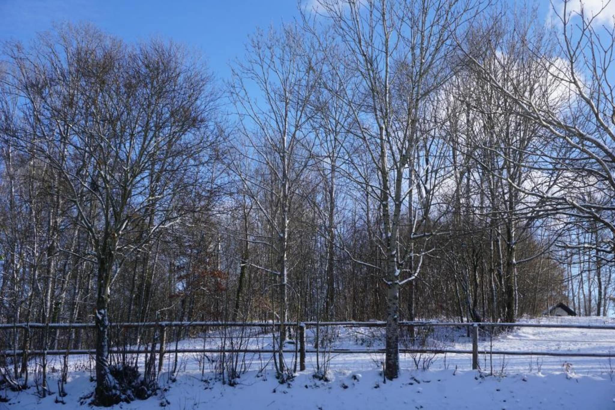 Poesie-Gebied winter 5km