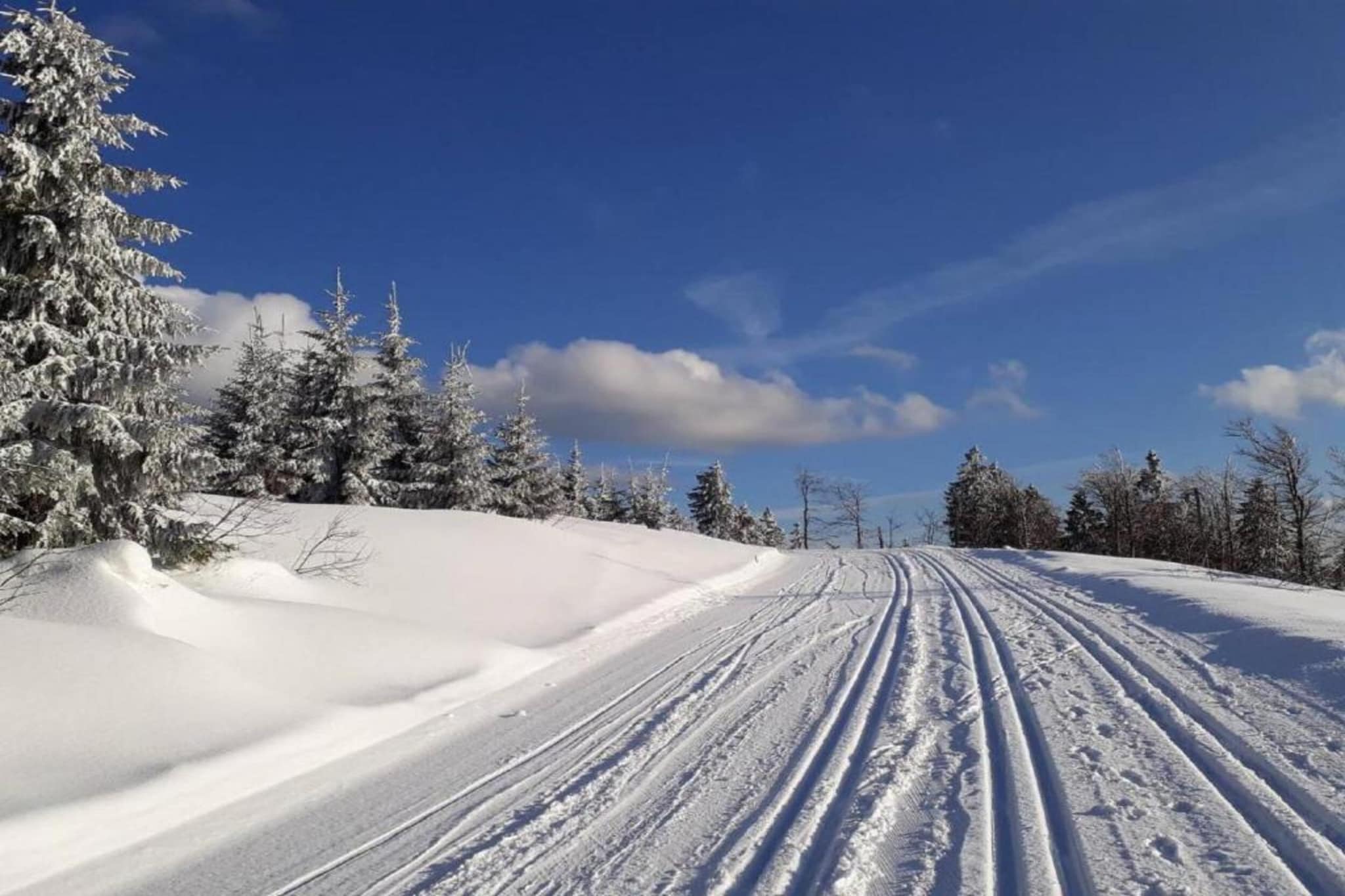 Poesie-Gebied winter 5km