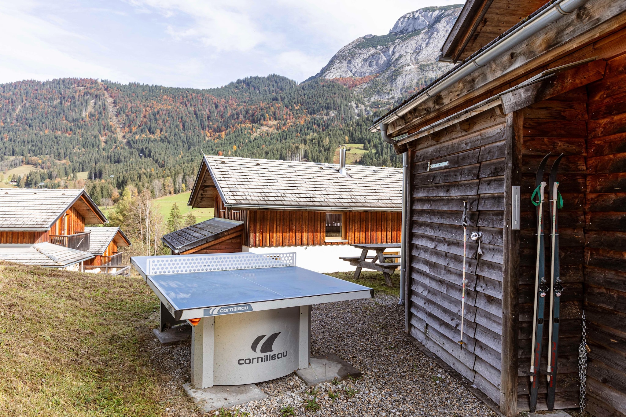 Alpendorf Dachstein West 1-Tuinen zomer