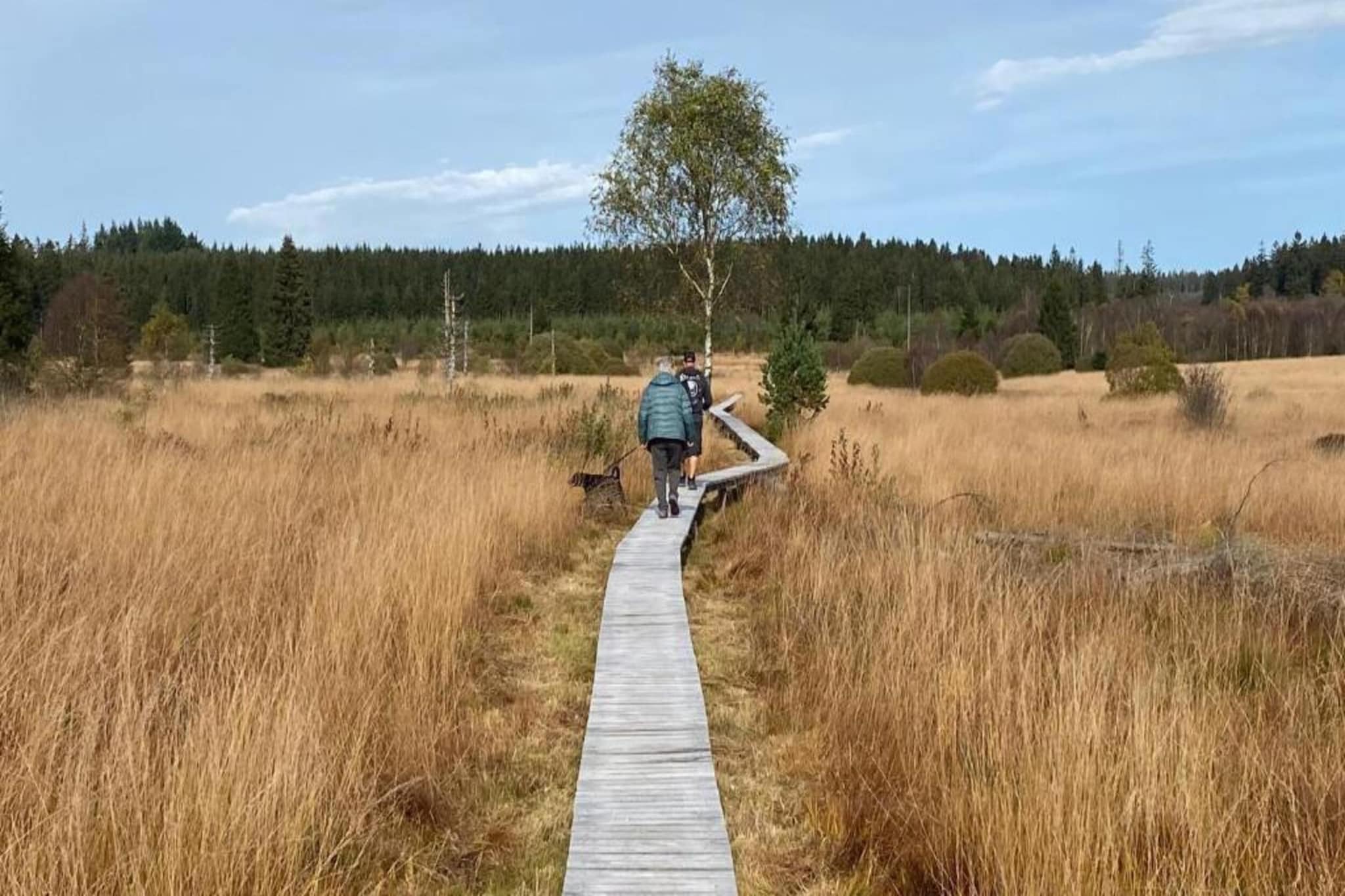 Zevenster-Areas summer 20km