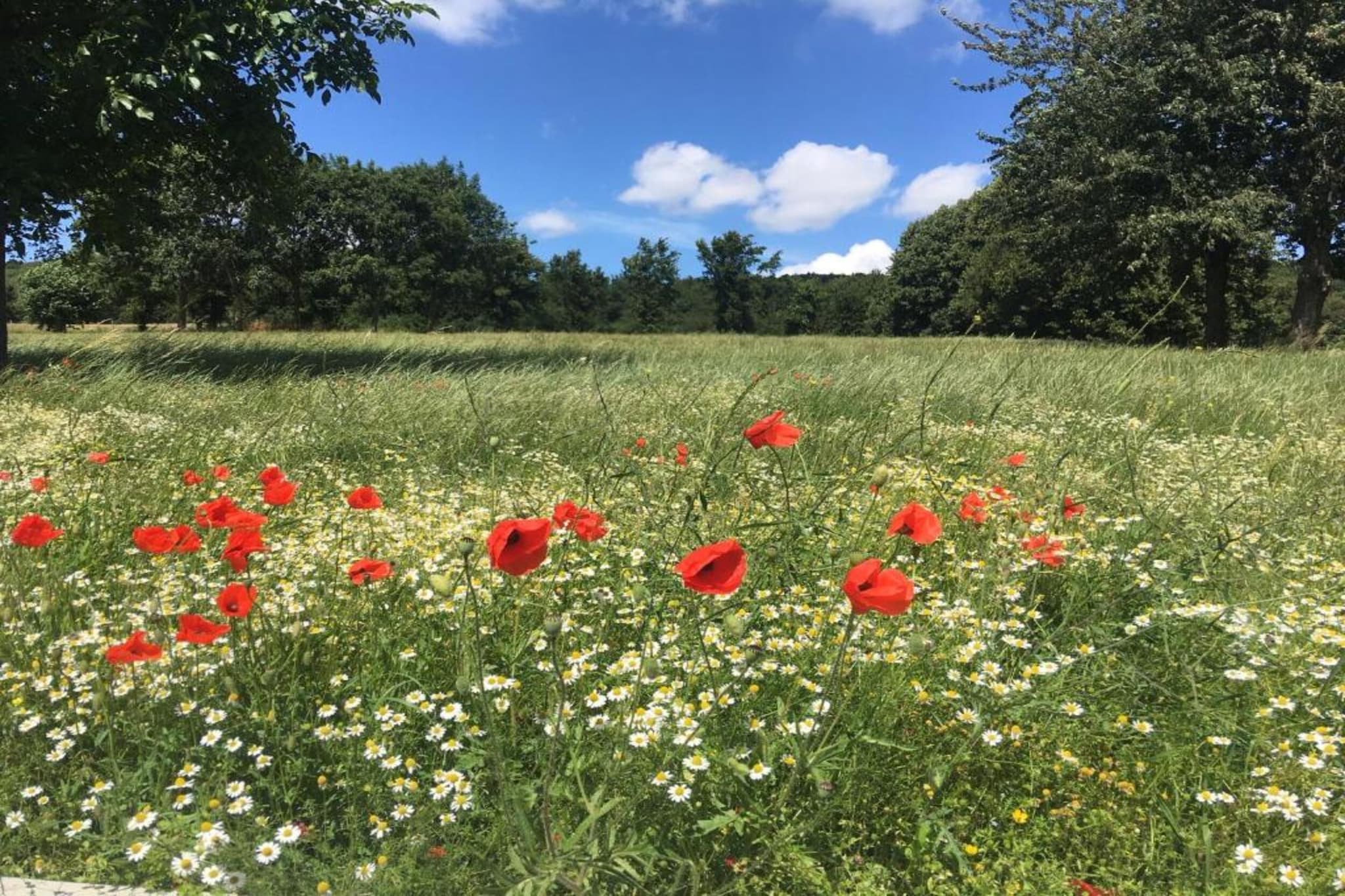 Petite Gite-Gebieden zomer 20km