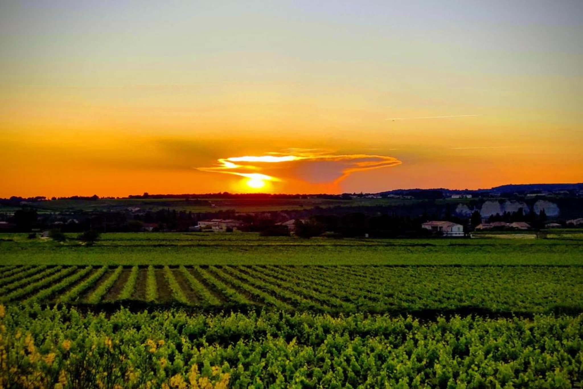 Entre Luberon et Avignon-Gebieden zomer 20km