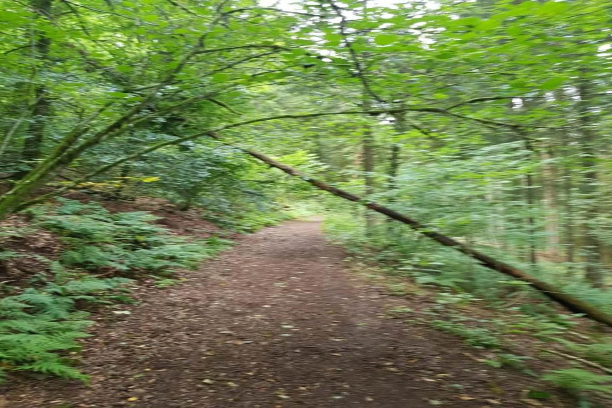 Aux Hirondelles-Gebieden zomer 20km