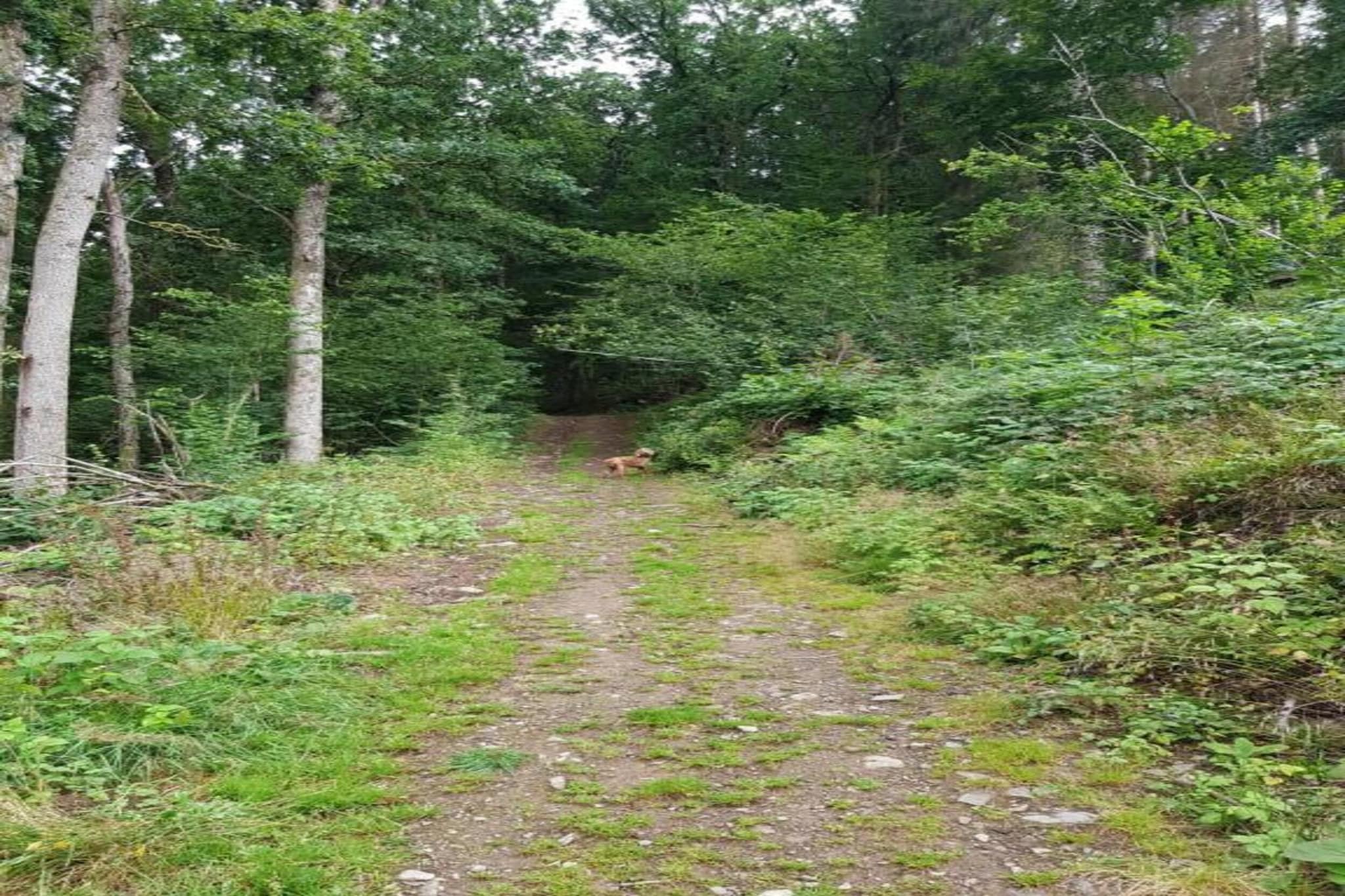 Aux Hirondelles-Gebieden zomer 20km