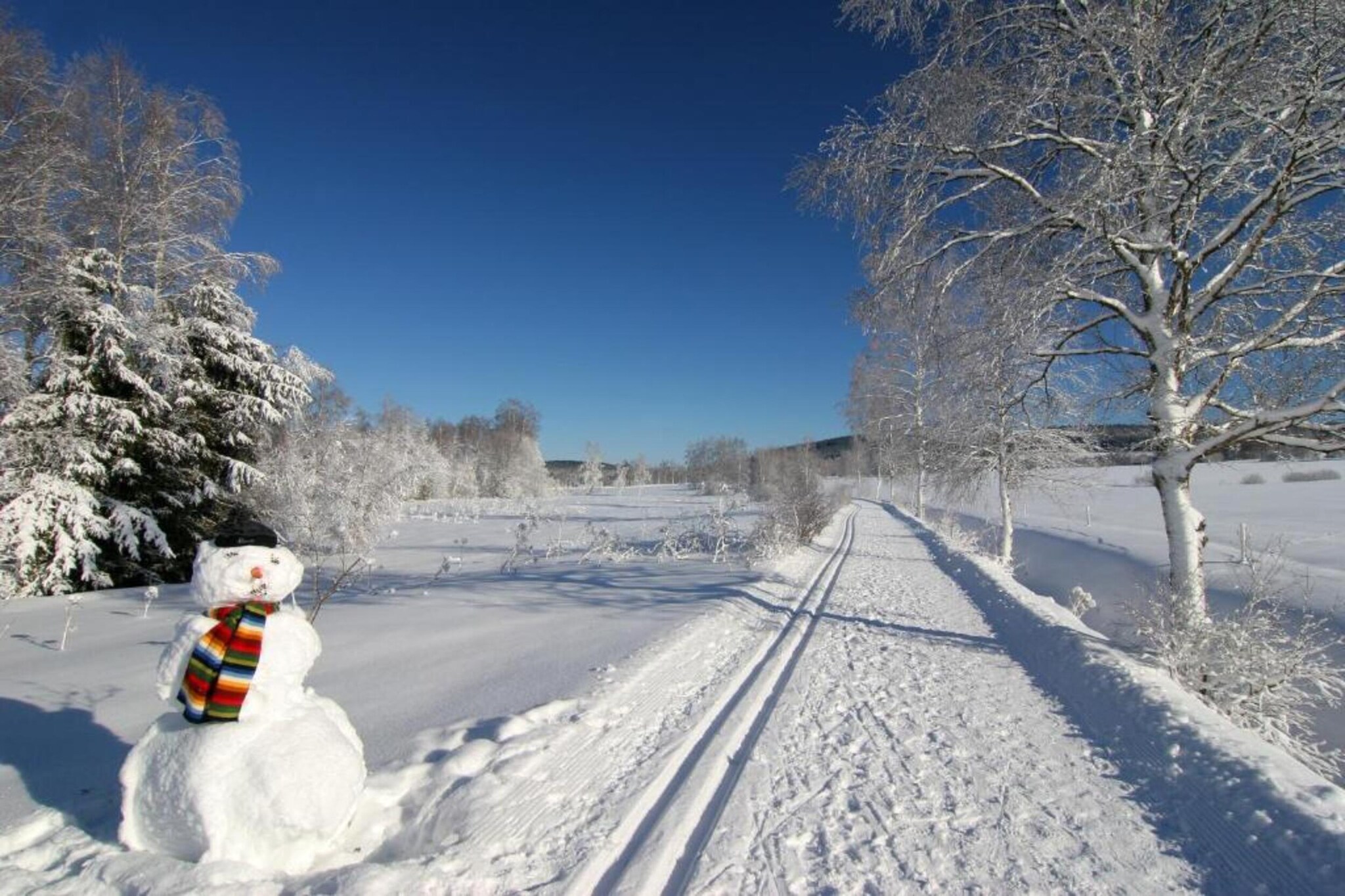 Im Erzgebirge-Gebied winter 20km