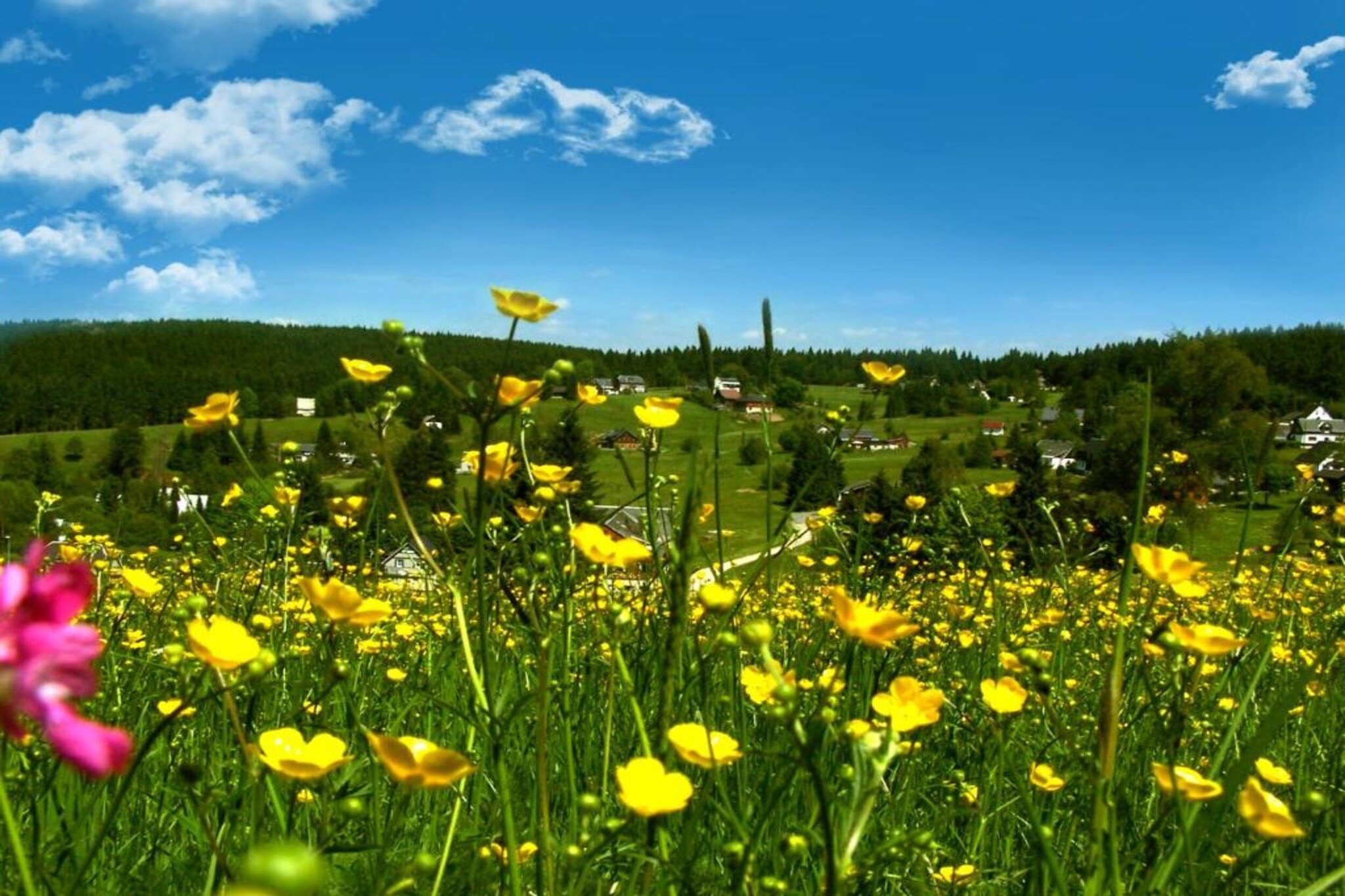 Im Erzgebirge-Gebieden zomer 20km
