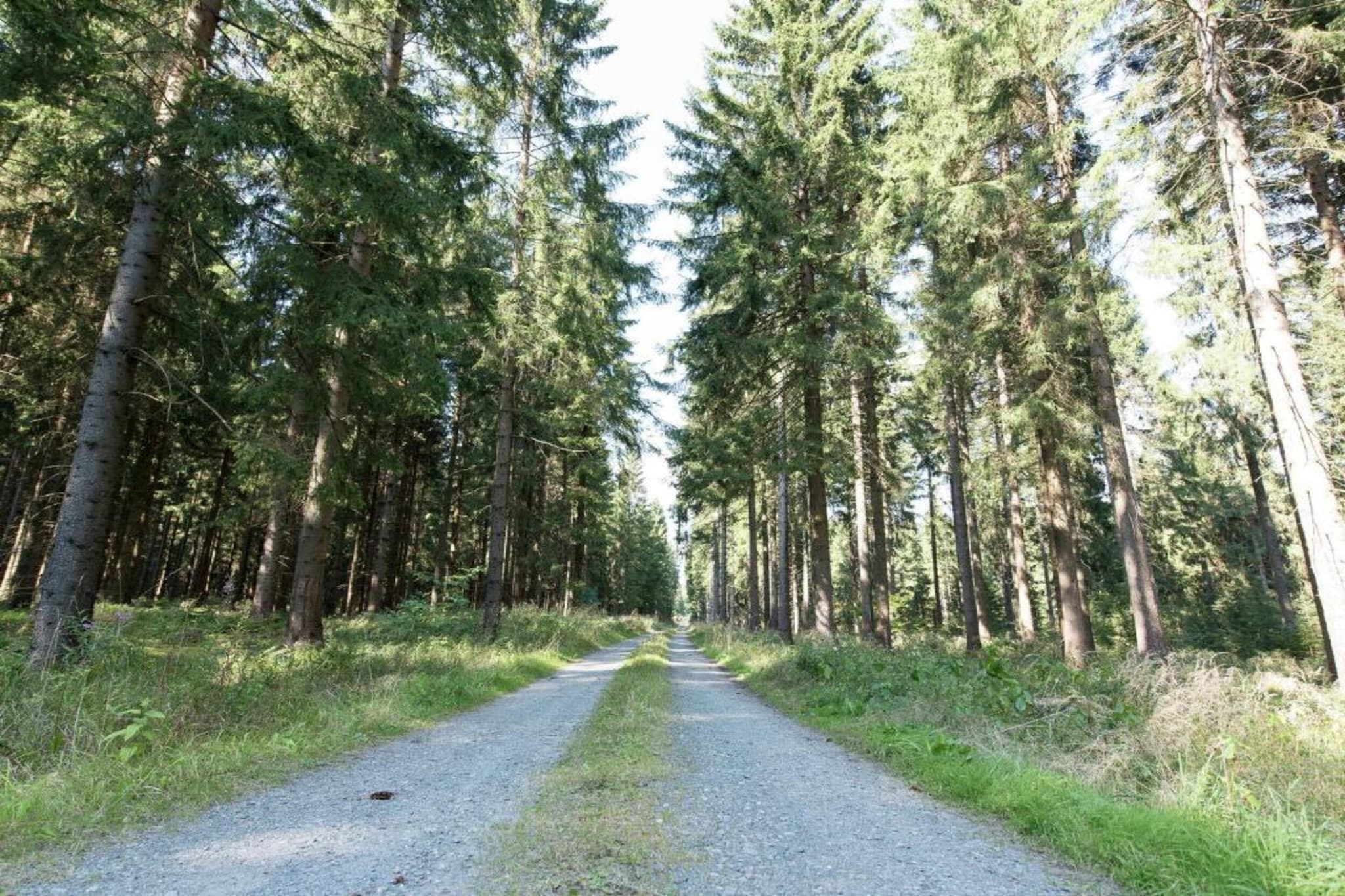 Im Erzgebirge-Gebieden zomer 20km