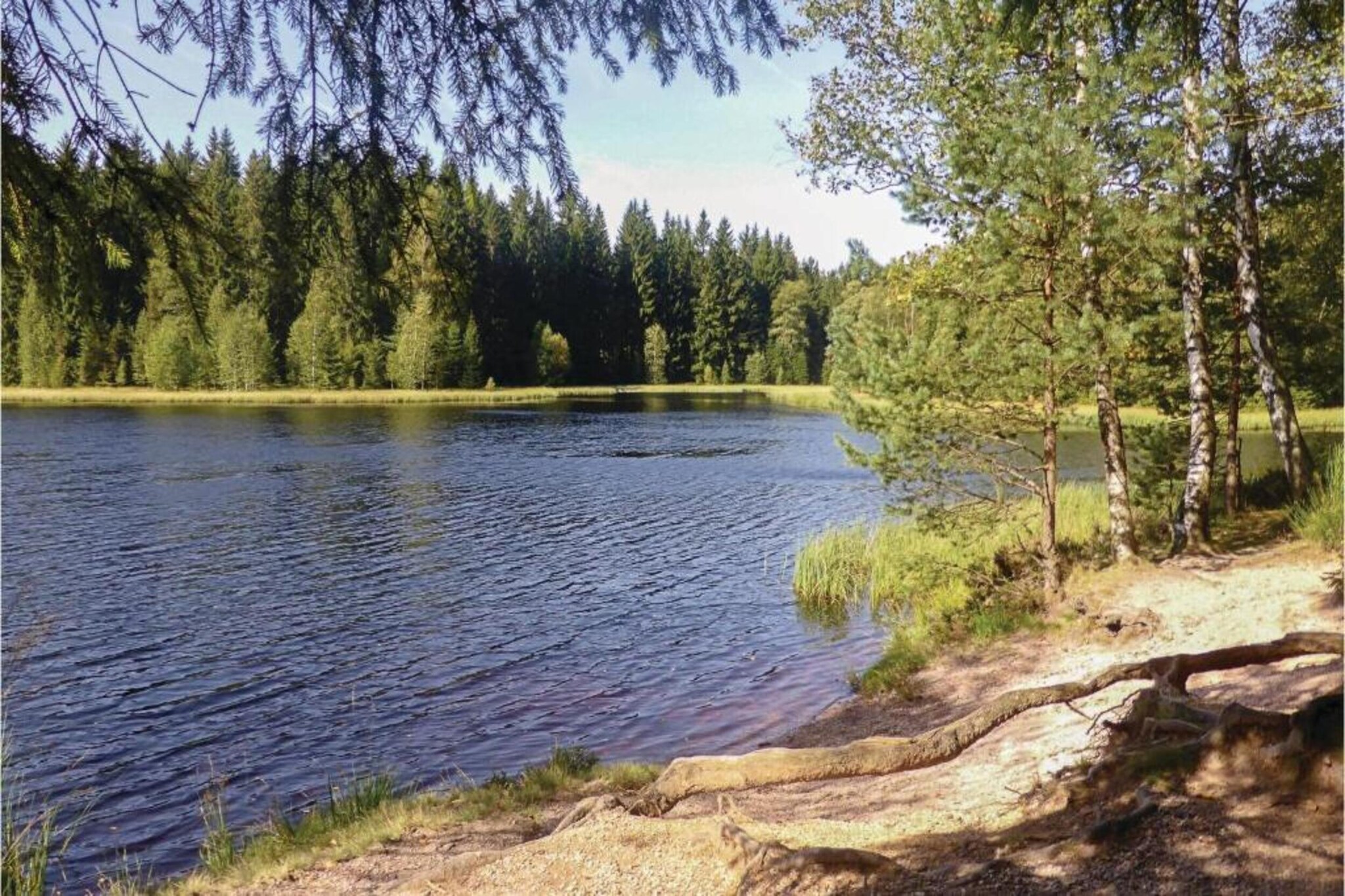 Im Erzgebirge-Gebieden zomer 20km