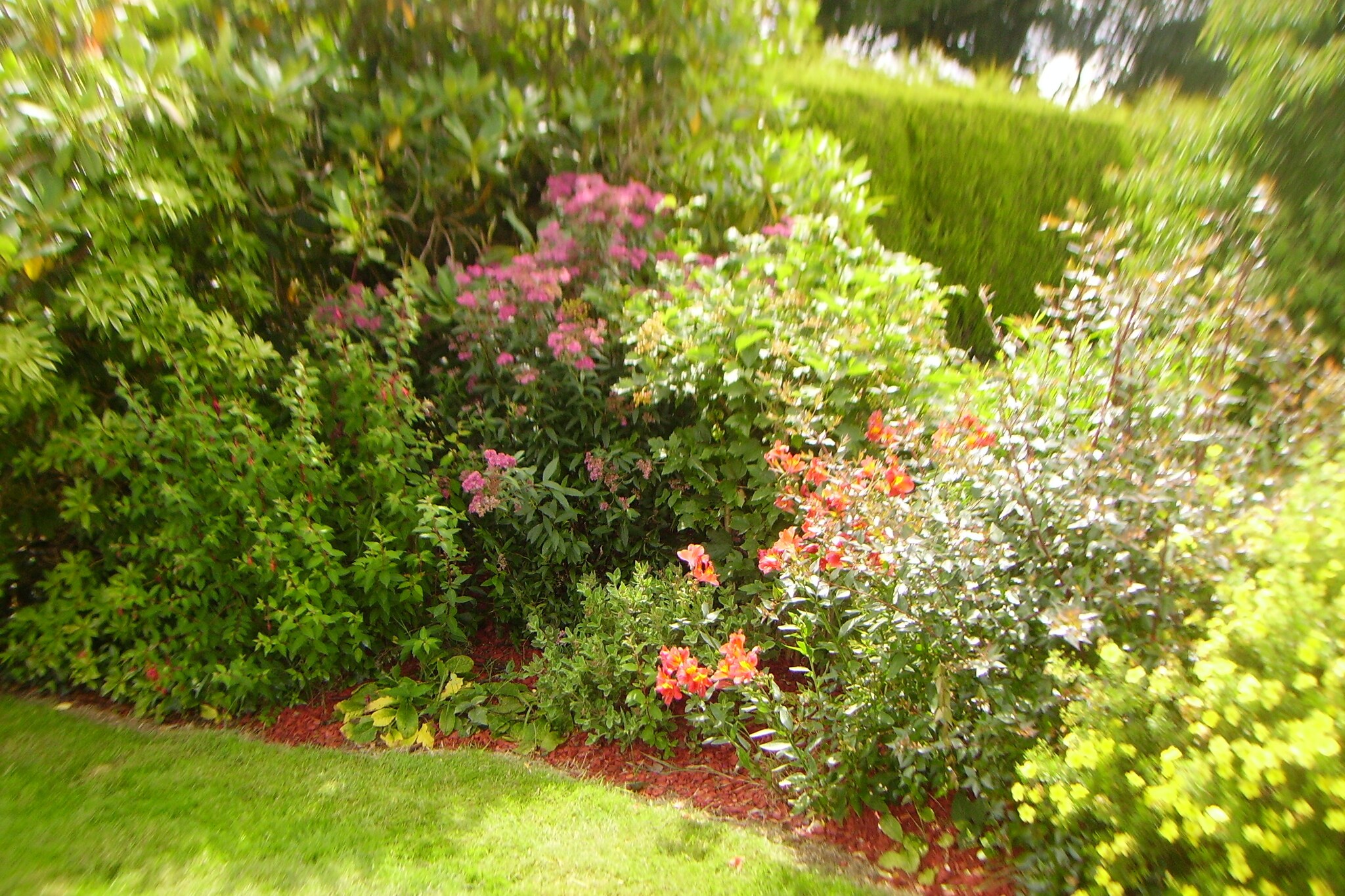 Garden Summer