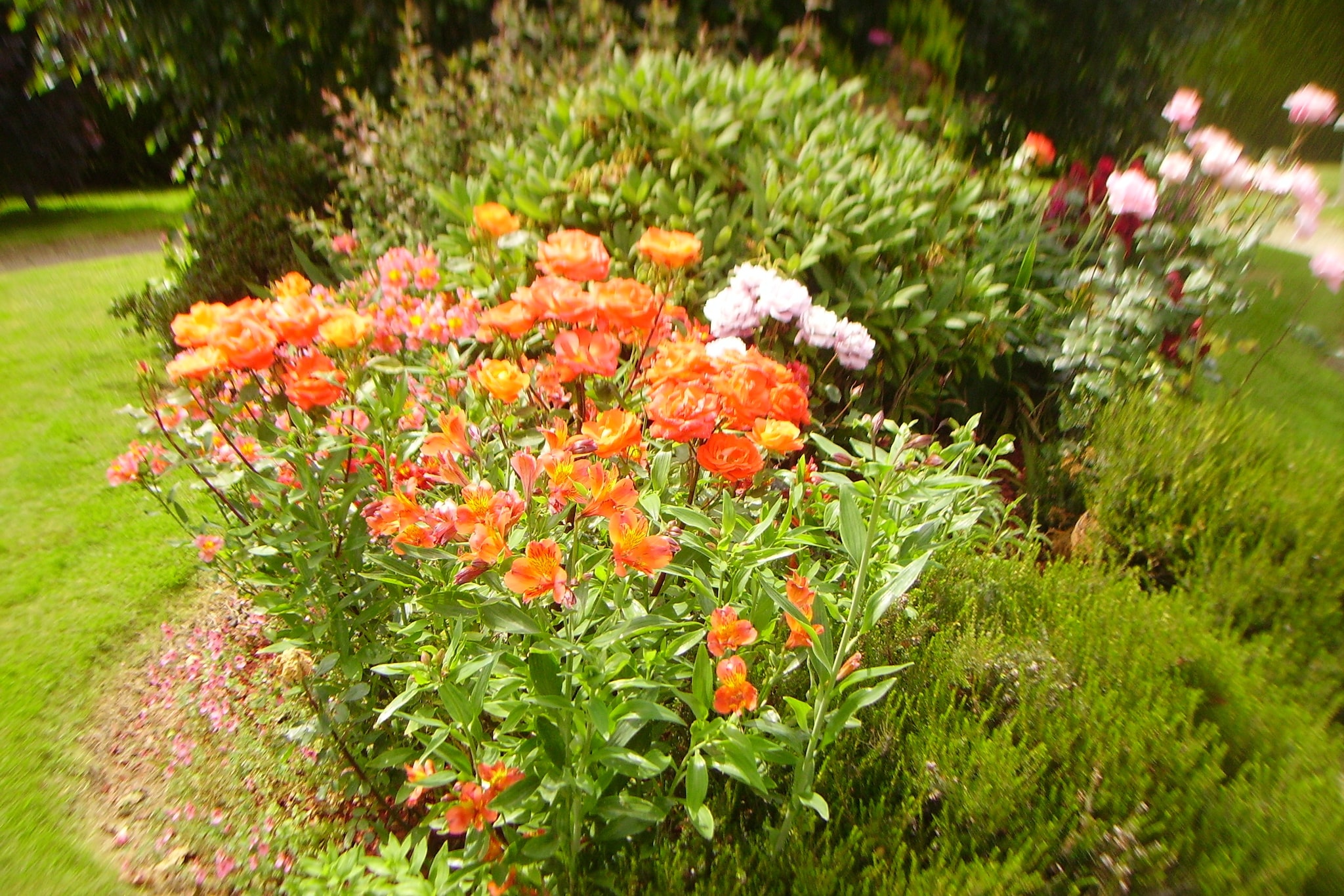Garden Summer