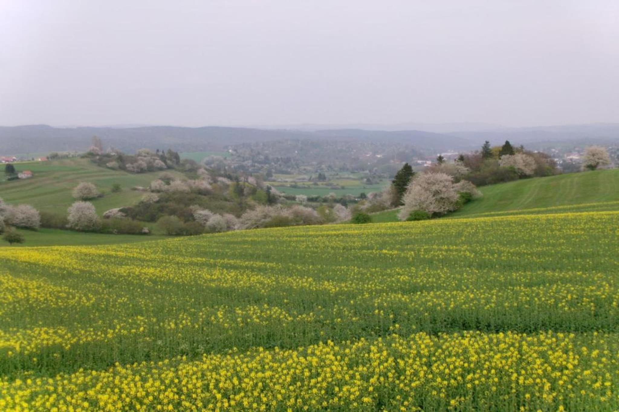 Gehren-Zones d'été à 5 km