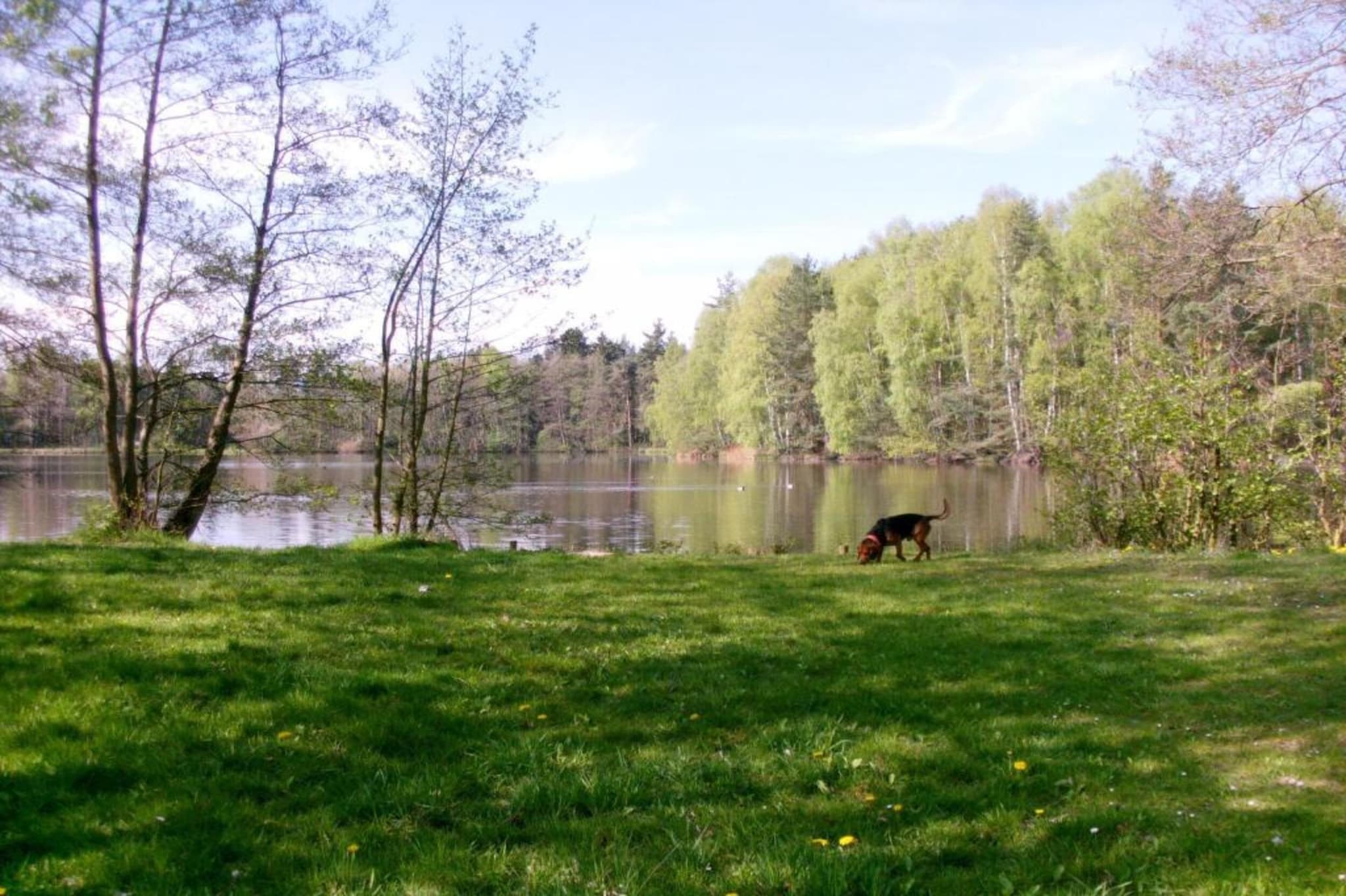 Gehren-Zones d'été à 5 km