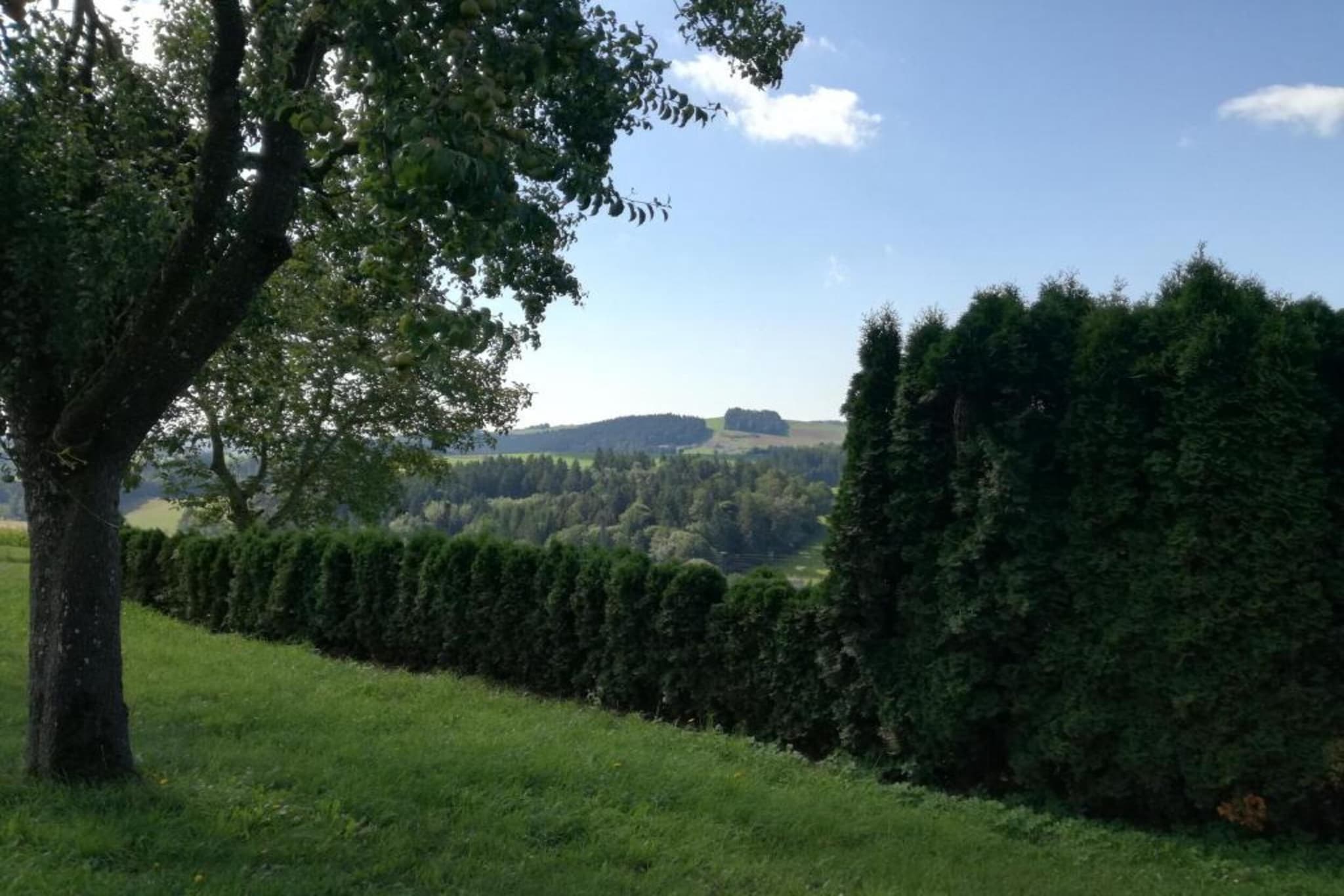 Ferienhaus Kummer-Gebiete Sommer 20 km