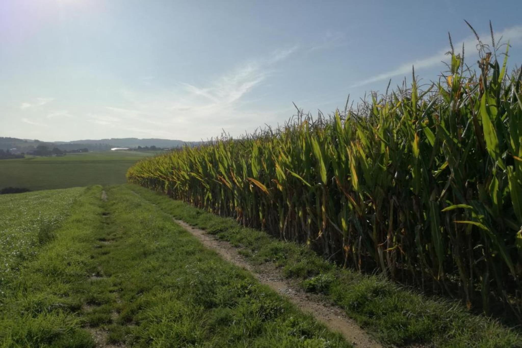 Ferienhaus Kummer-Gebiete Sommer 20 km