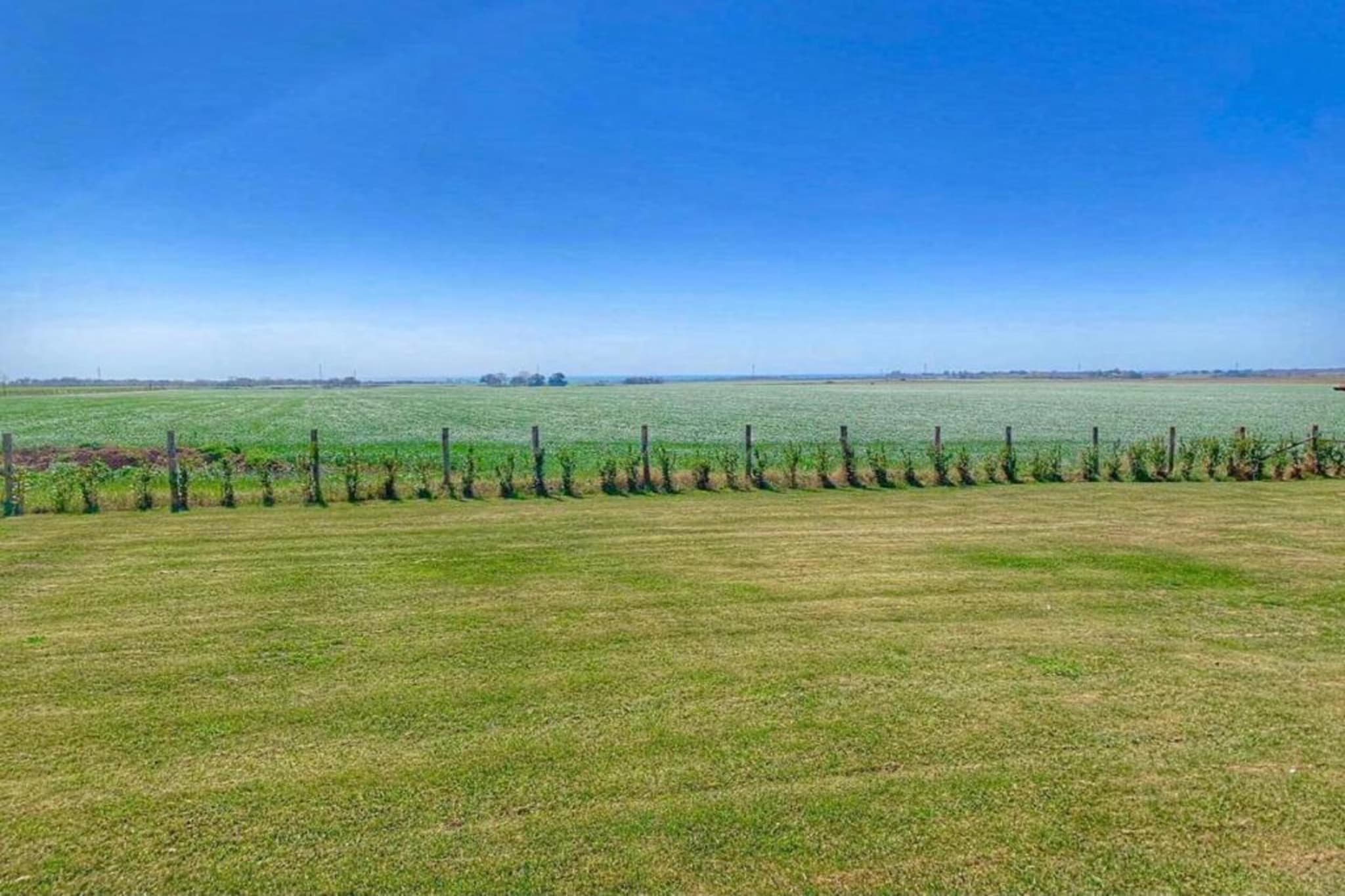 Lavanda-Gebieden zomer 20km