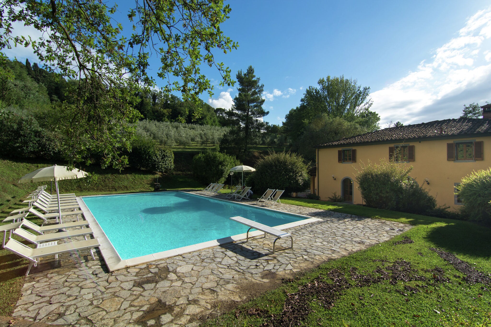 A beautiful Tuscan farmhouse and a large swimming pool and relaxing