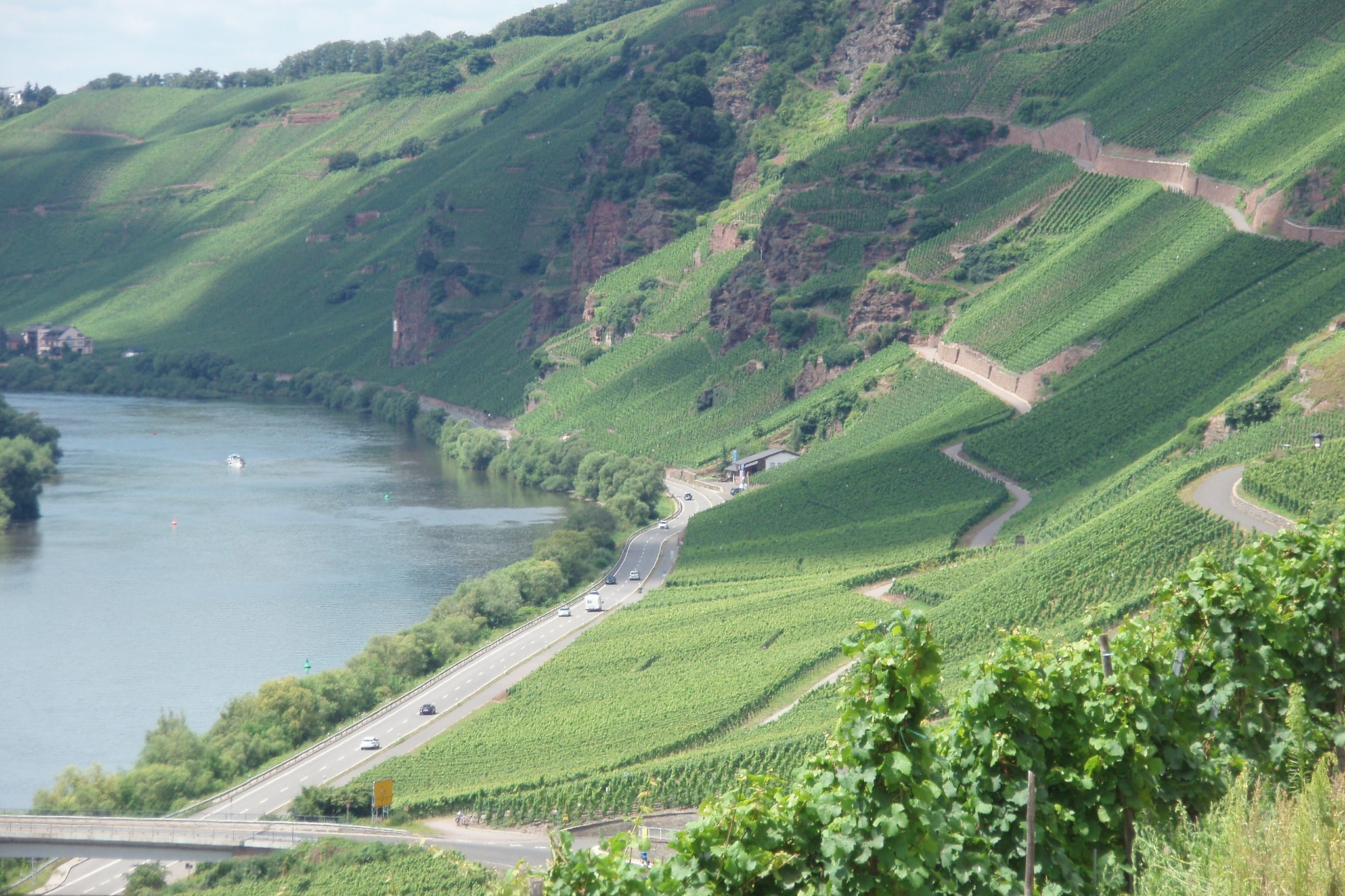 Mosel