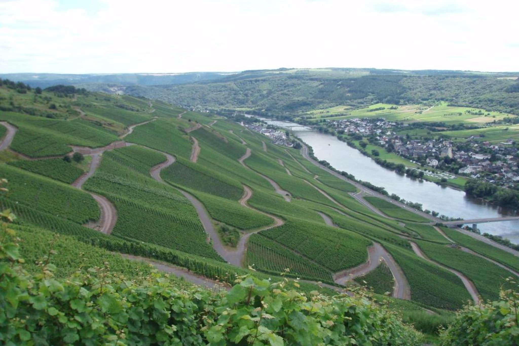Weingut Justen-Kiebel-Zones d'été à 20 km