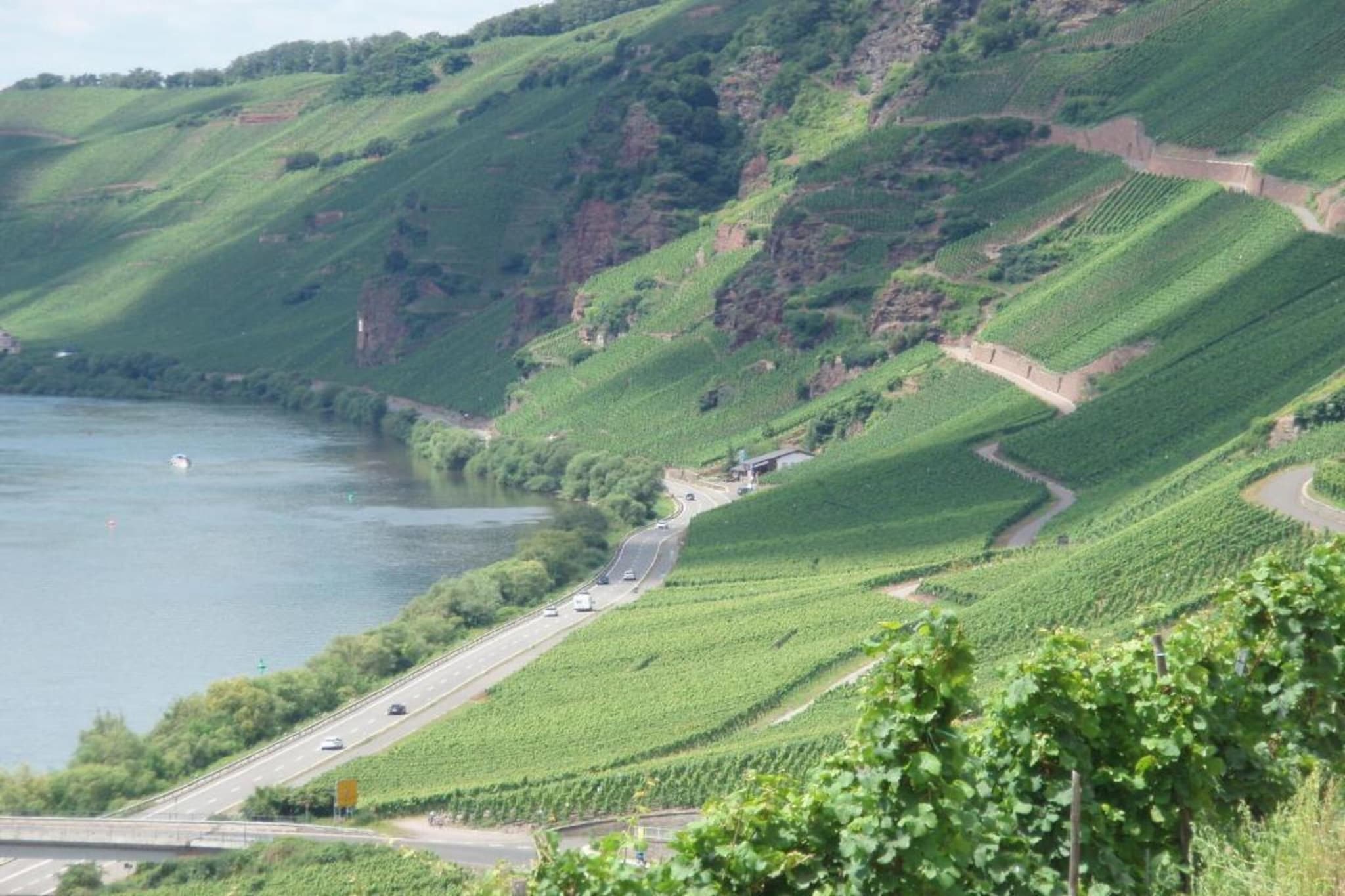 Weingut Justen-Kiebel-Zones d'été à 20 km