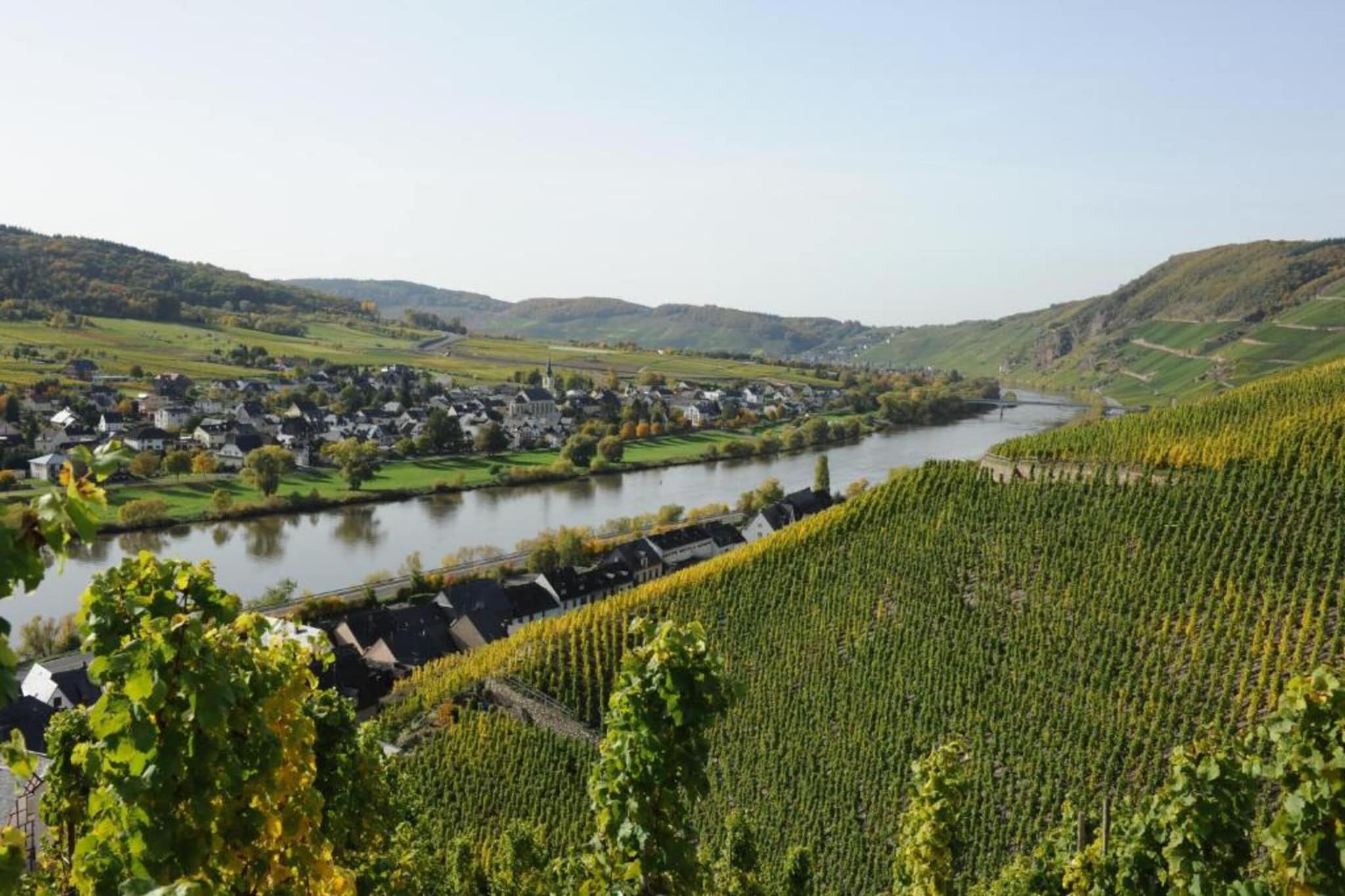 Weingut Justen-Kiebel-Zones d'été à 20 km