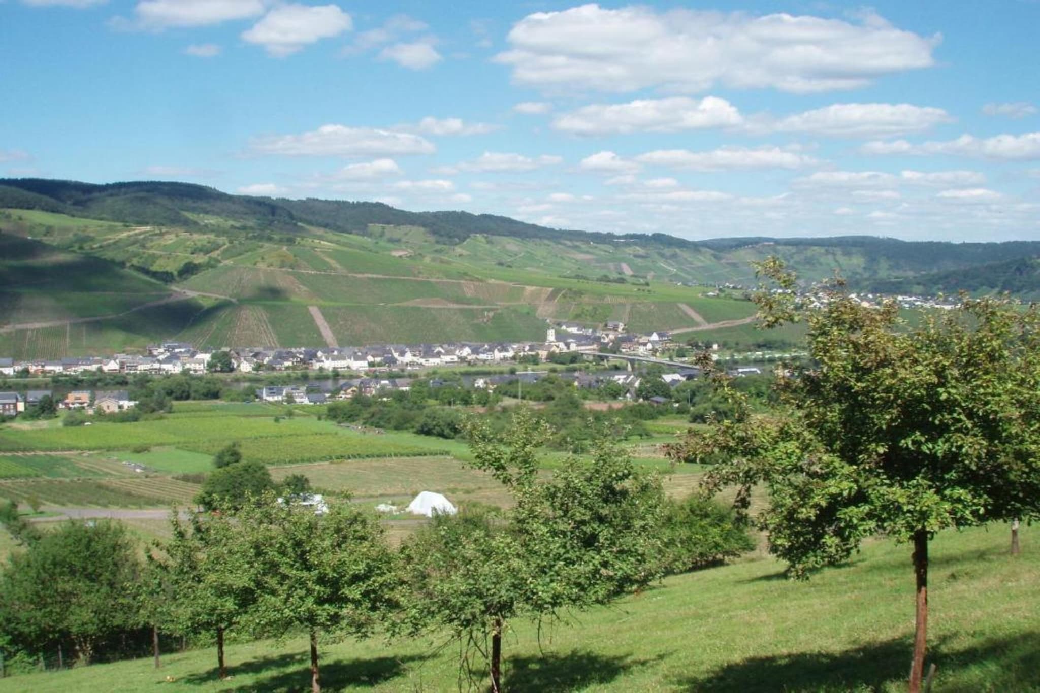 Weingut Justen-Kiebel-Zones d'été à 20 km
