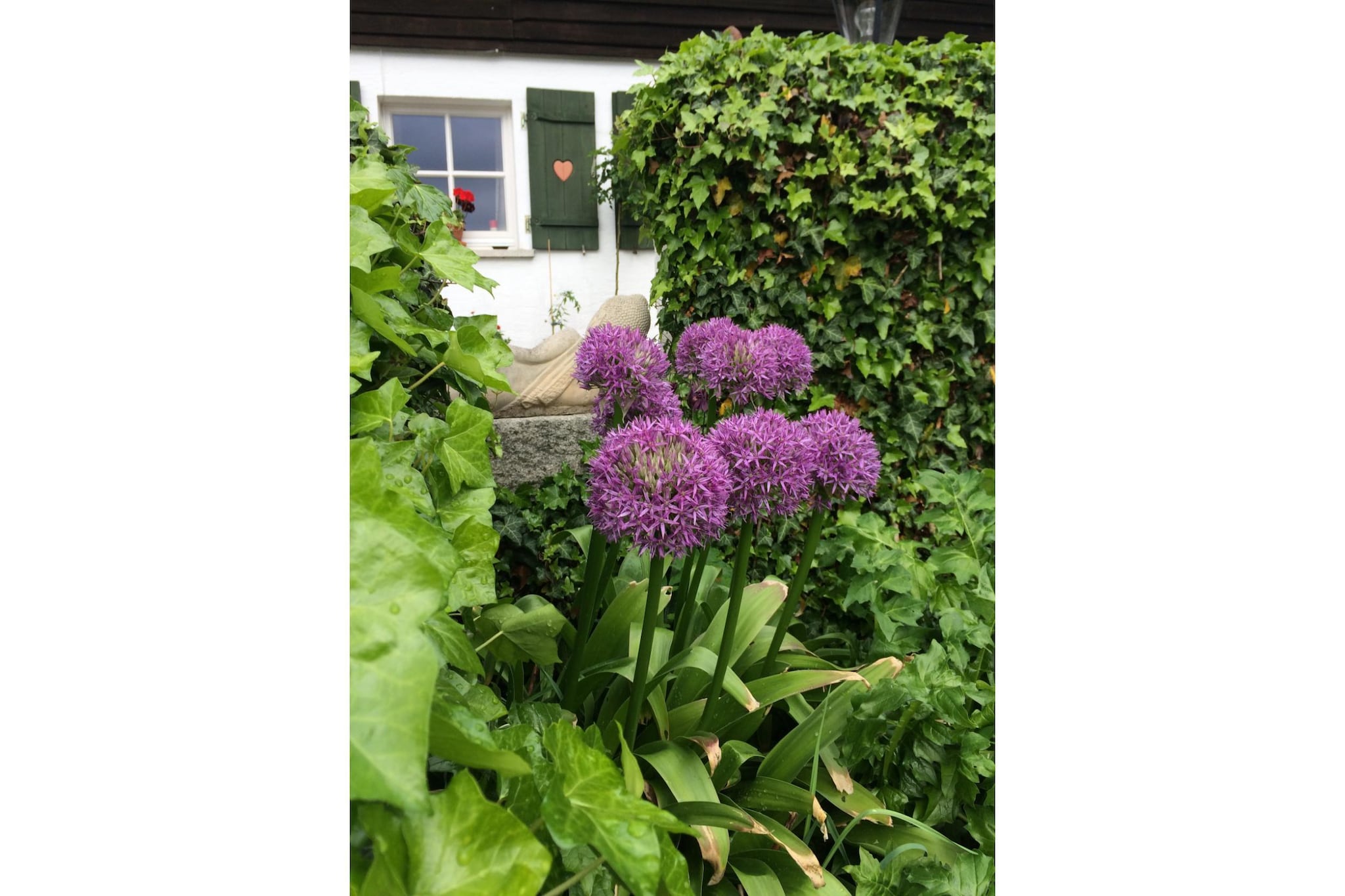 Garden Summer
