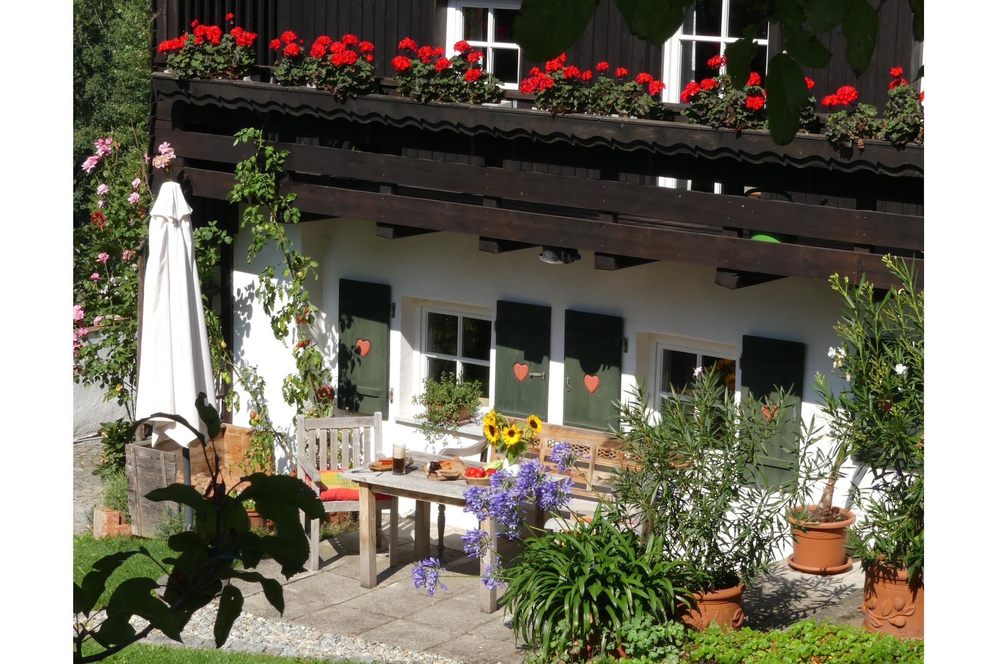 Exterior Summer