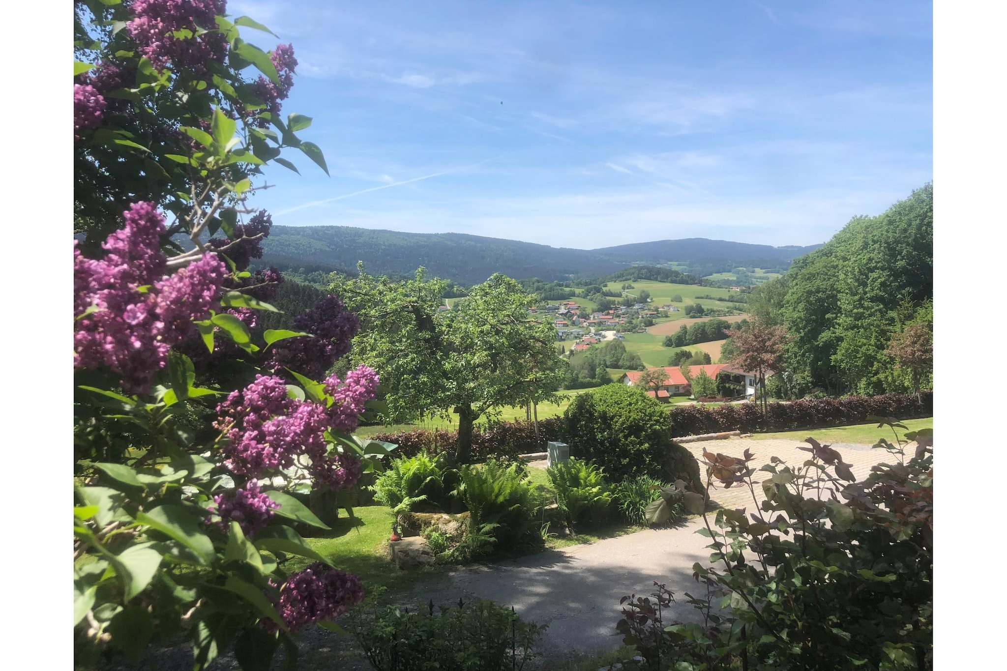 View Summer
