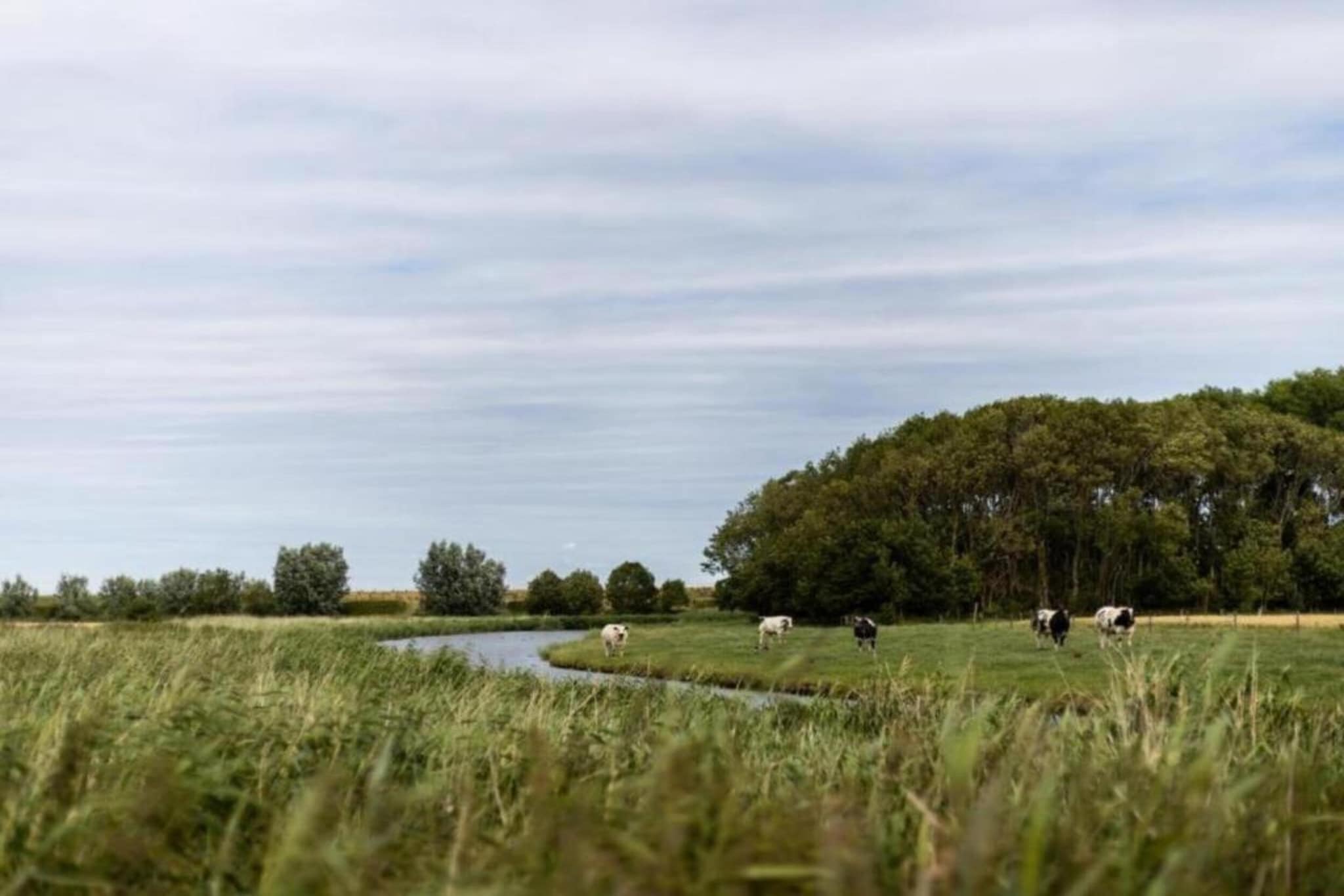 De Reus van Horebeke-Gebiete Sommer 20 km