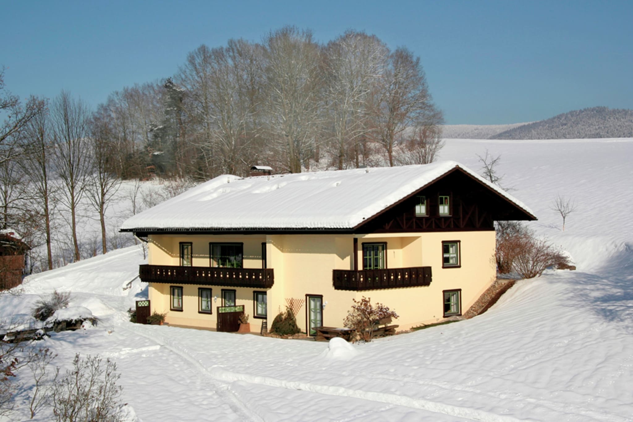 Vergissmeinnicht-Exterieur winter