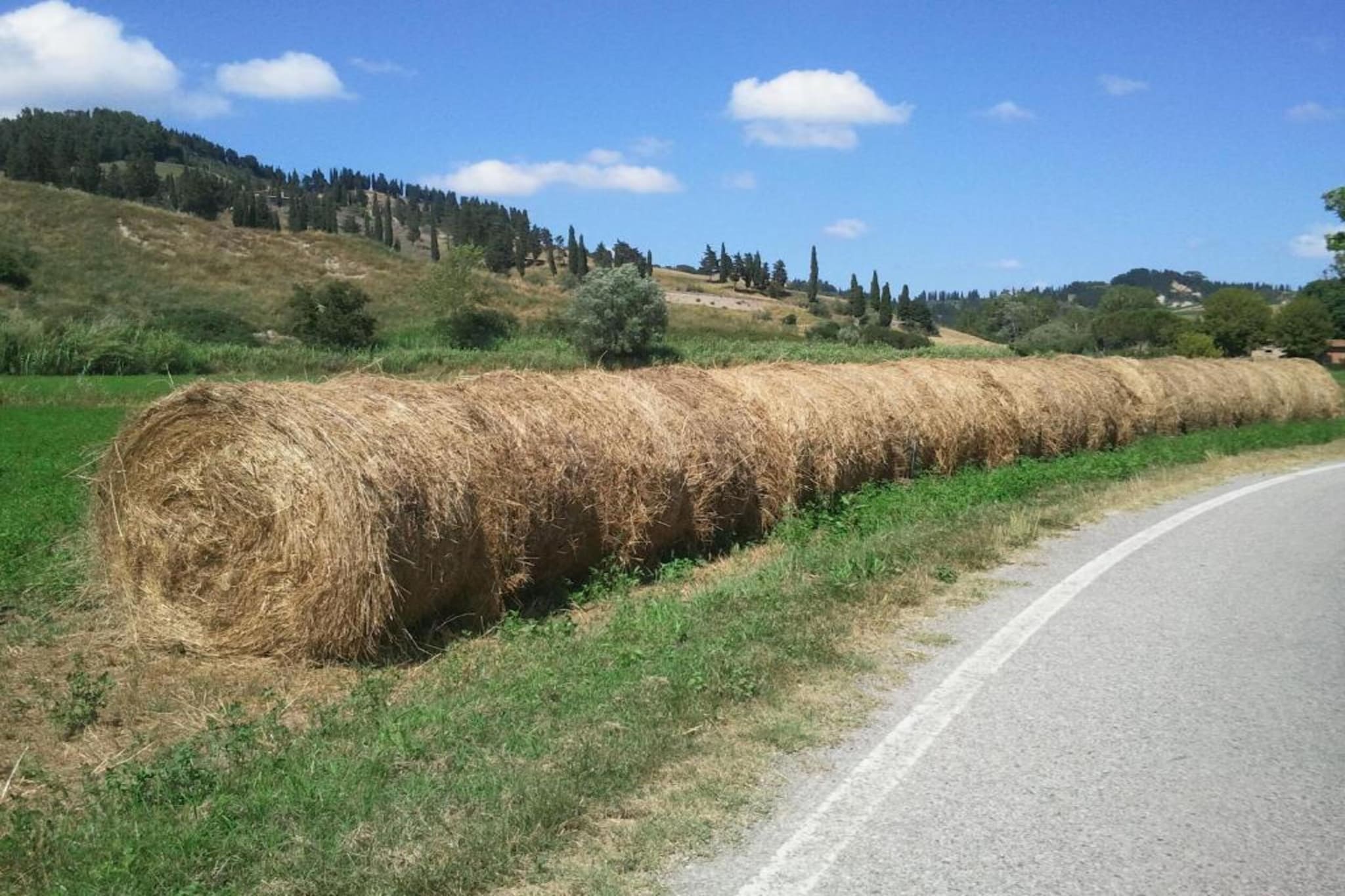 Ciclamino-Gebieden zomer 5km