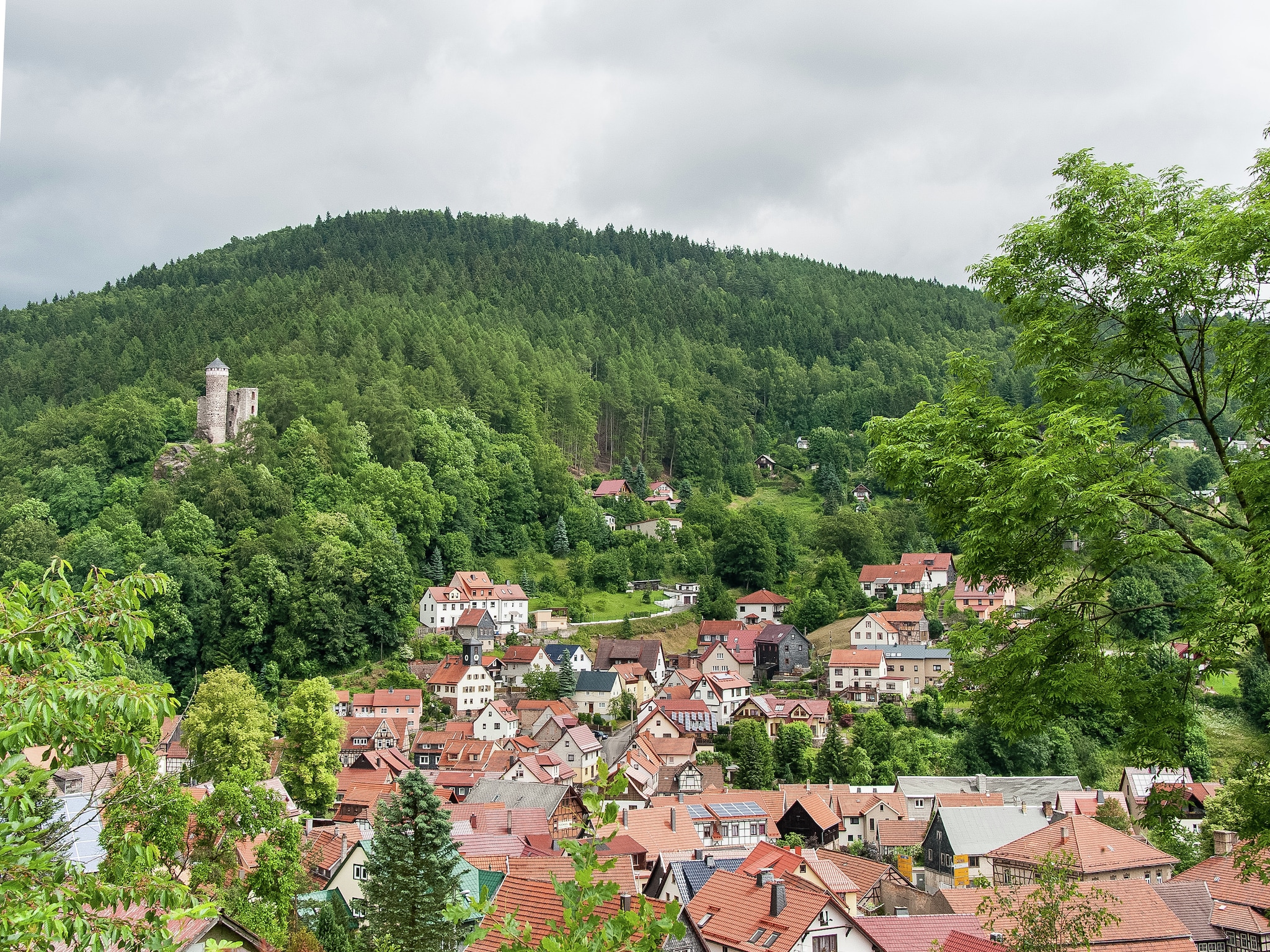   Steinbach-Hallenberg