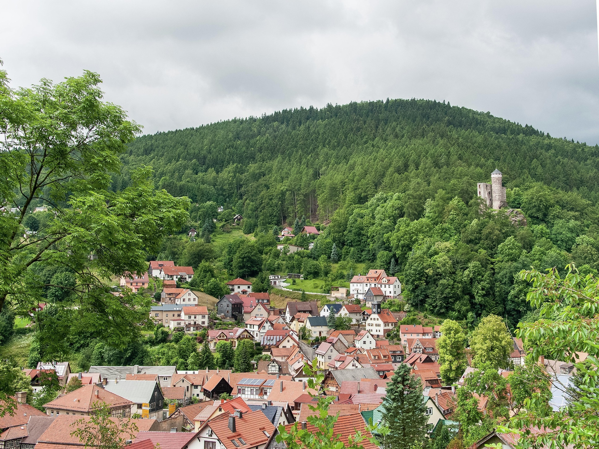   Steinbach-Hallenberg