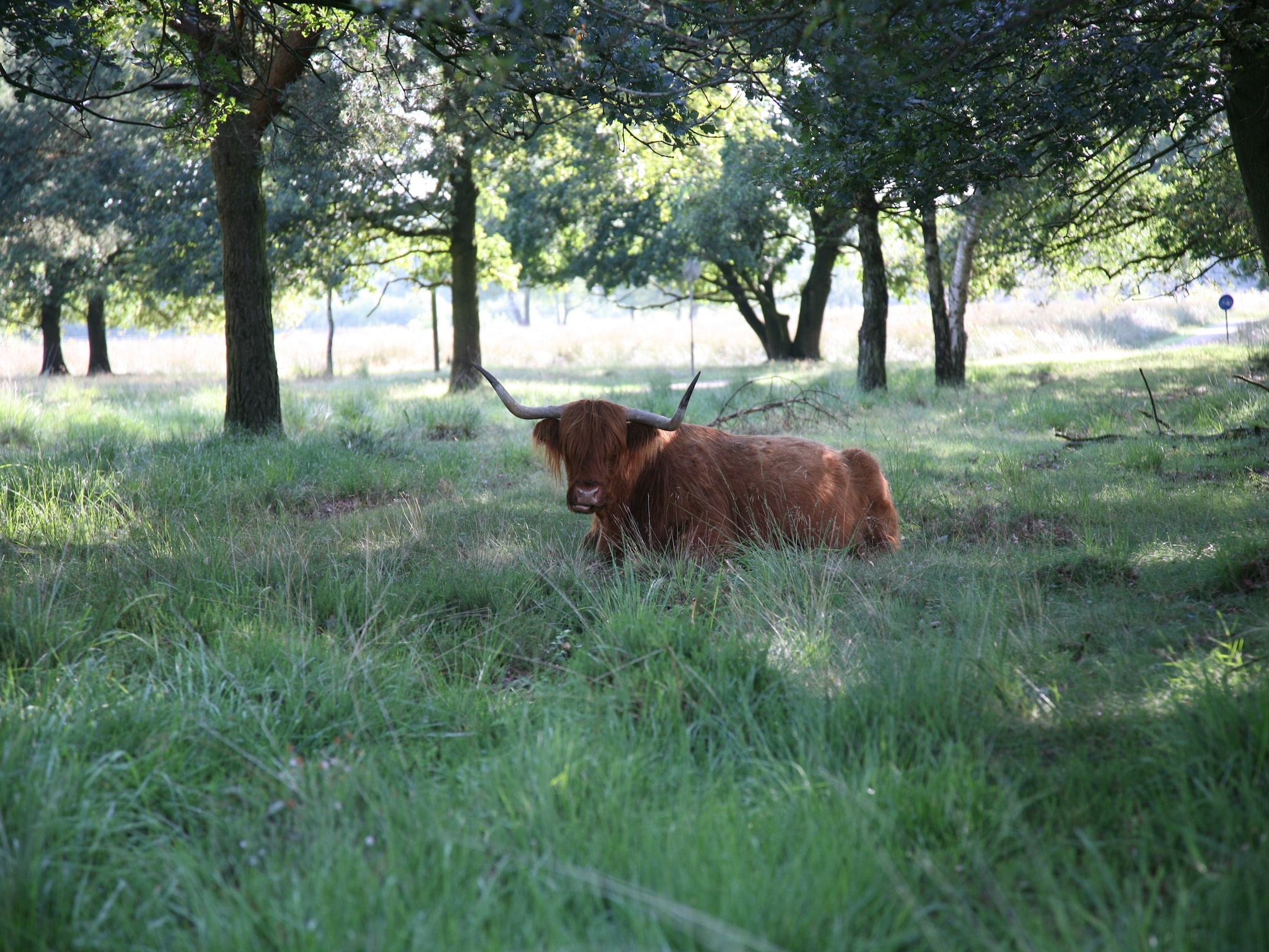度假住宅 Landgoed Het Grote Zand 8