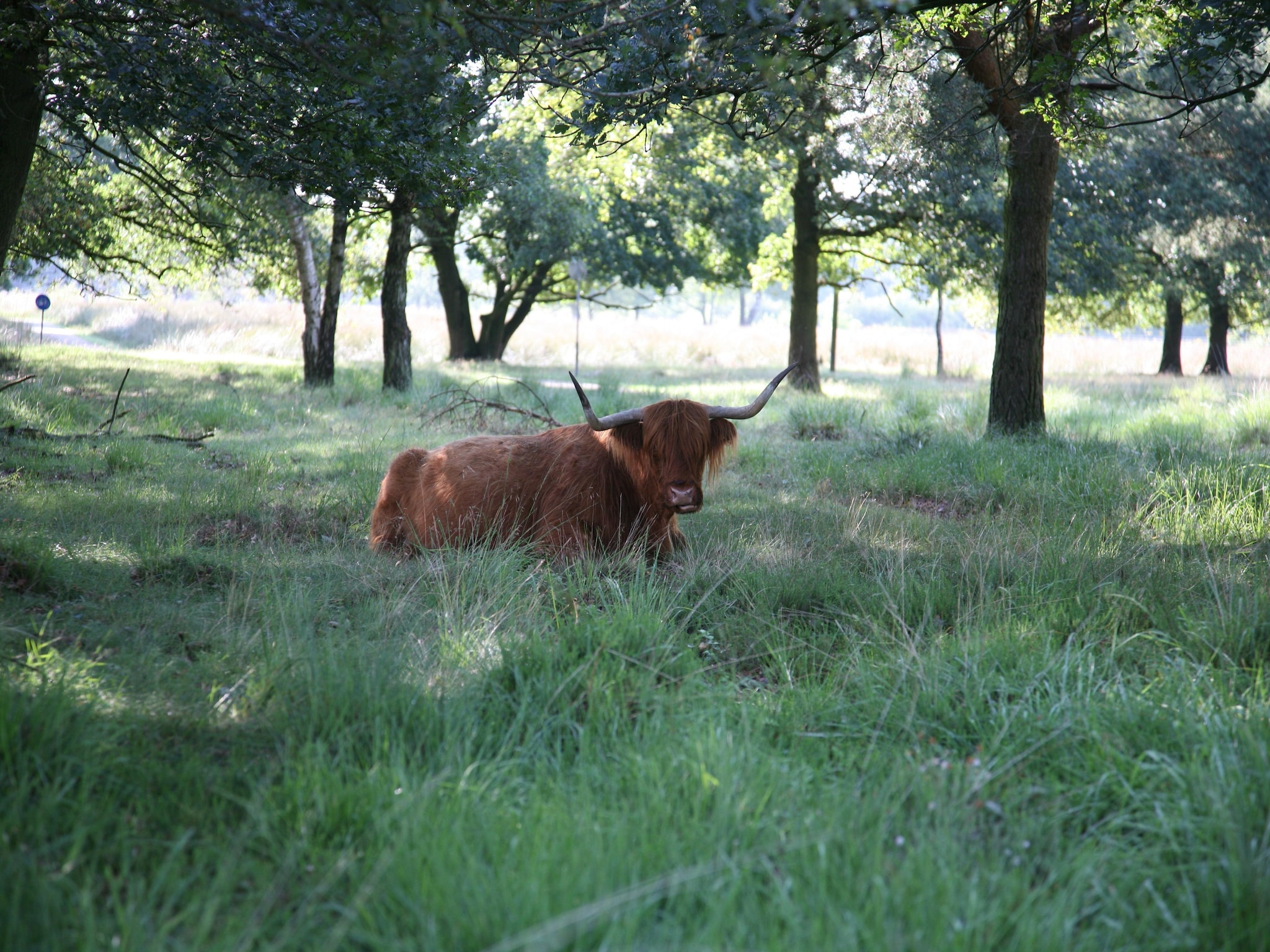 度假住宅 Landgoed Het Grote Zand 8