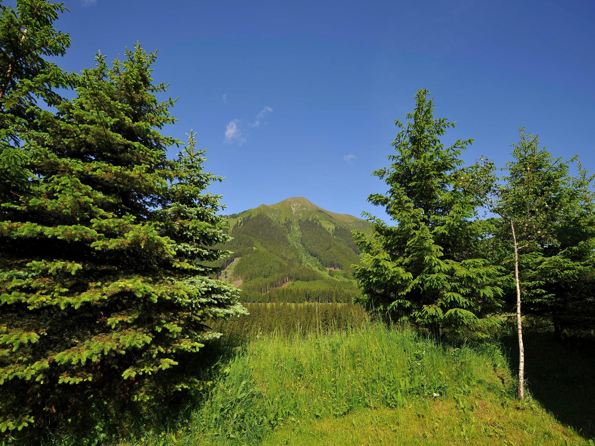 Feriebolig Alm Chalet Hohentauern