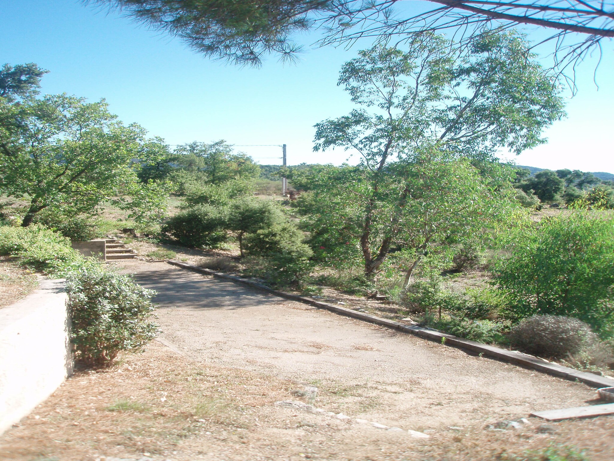   Mas des Vignes