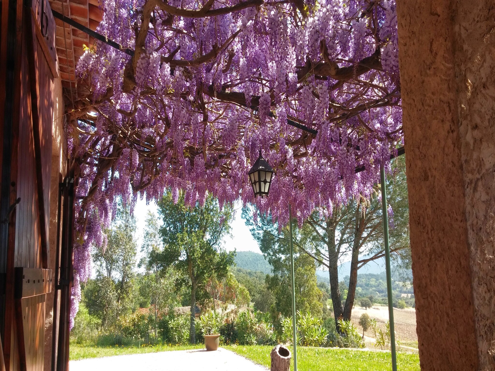   Mas des Vignes