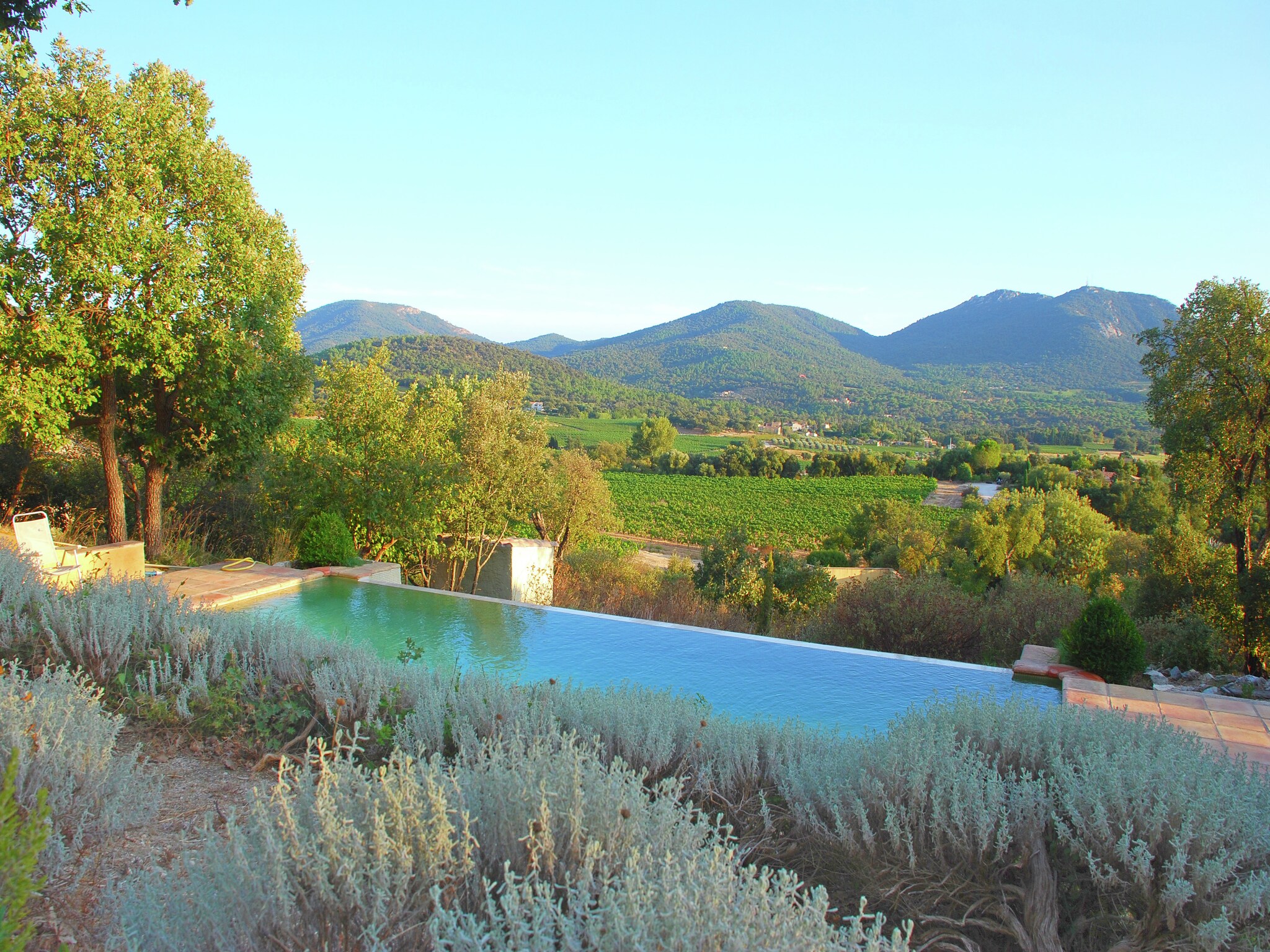   Mas des Vignes
