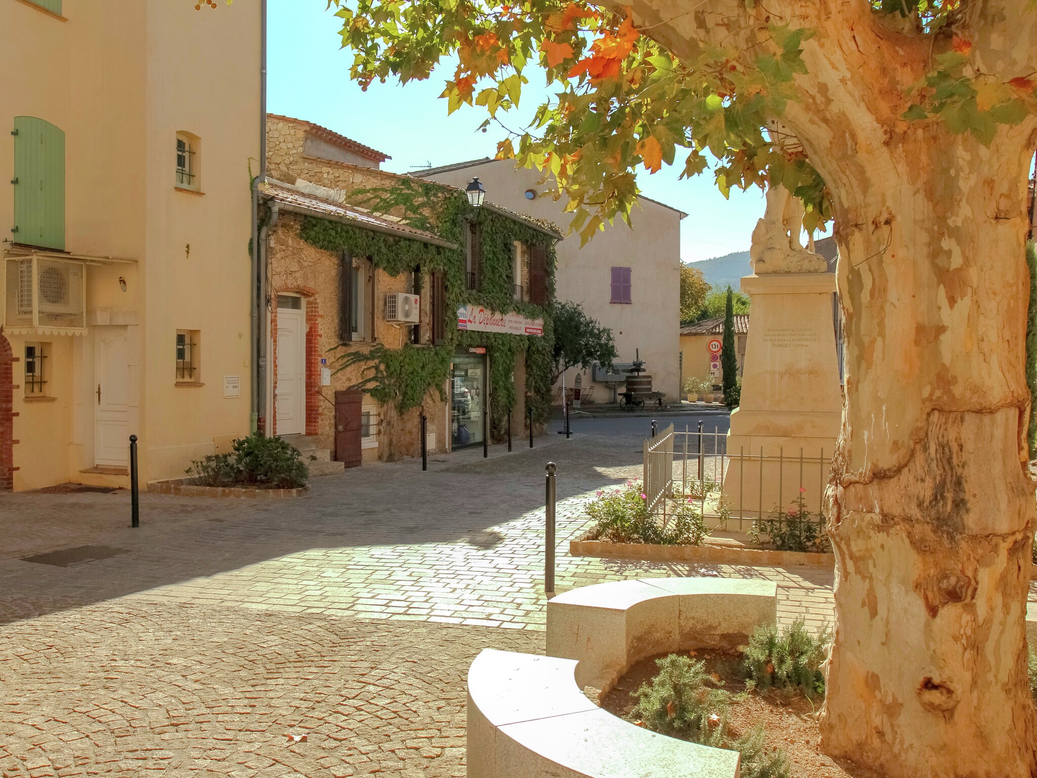   Mas des Vignes