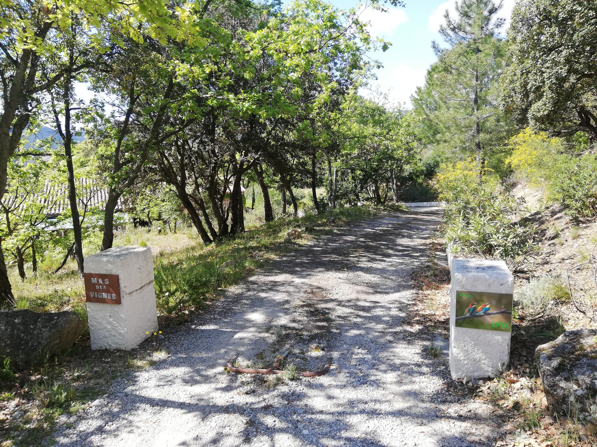   Mas des Vignes