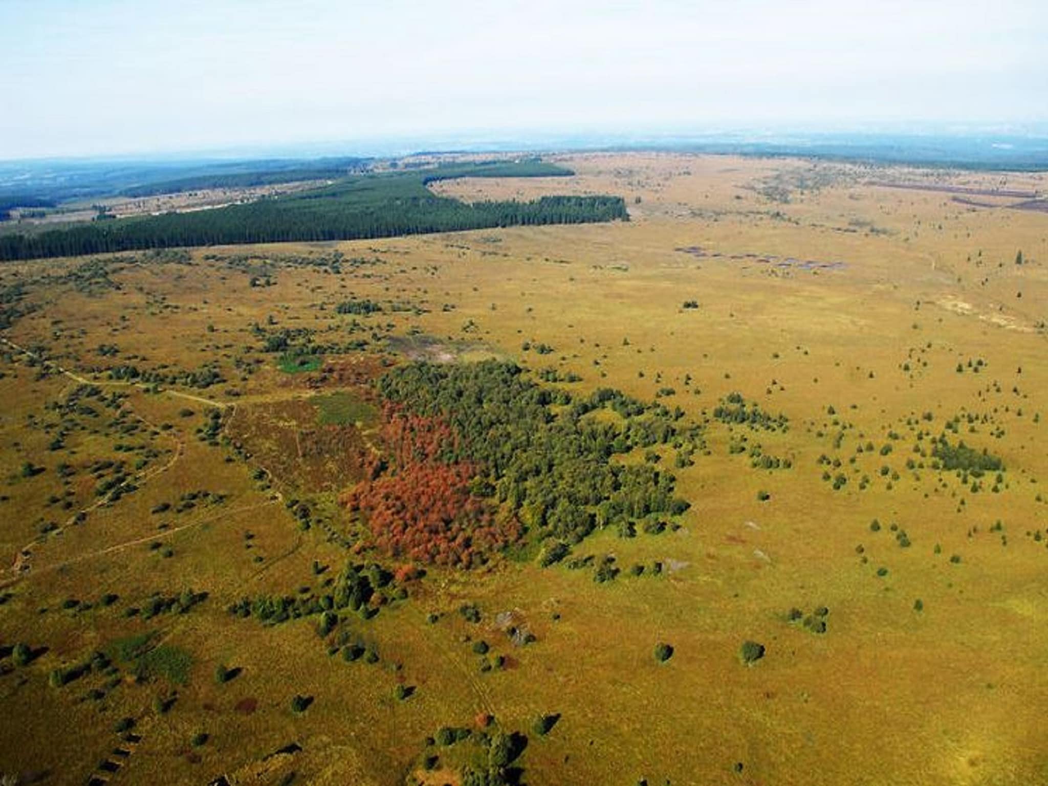   La Clé des Fagnes